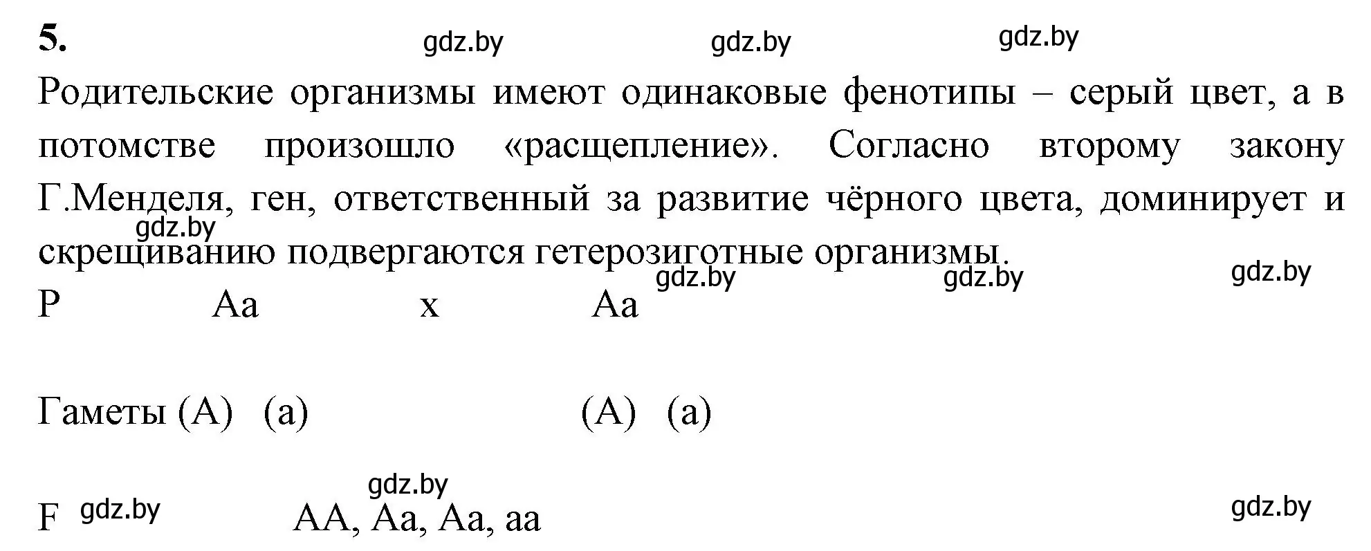 Решение номер 5 (страница 57) гдз по биологии 11 класс Хруцкая, рабочая тетрадь