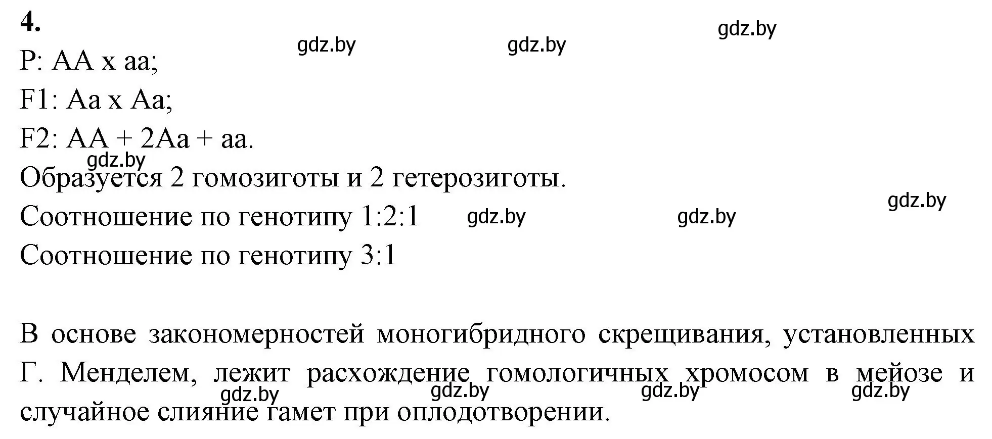 Решение номер 4 (страница 58) гдз по биологии 11 класс Хруцкая, рабочая тетрадь