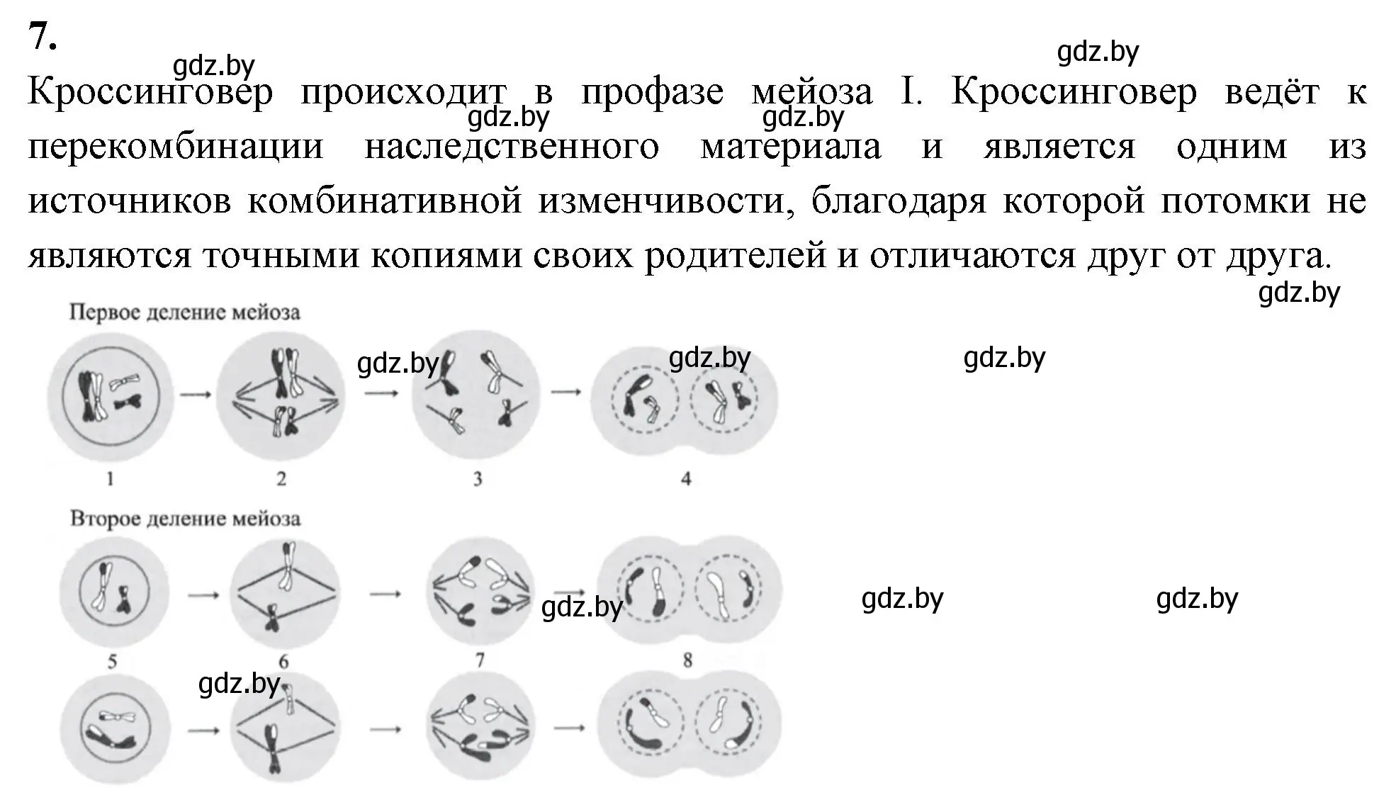 Решение номер 7 (страница 65) гдз по биологии 11 класс Хруцкая, рабочая тетрадь