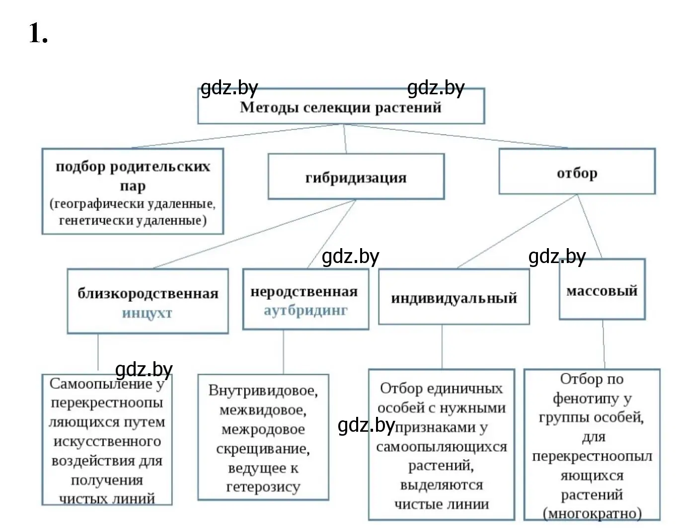 Решение номер 1 (страница 75) гдз по биологии 11 класс Хруцкая, рабочая тетрадь