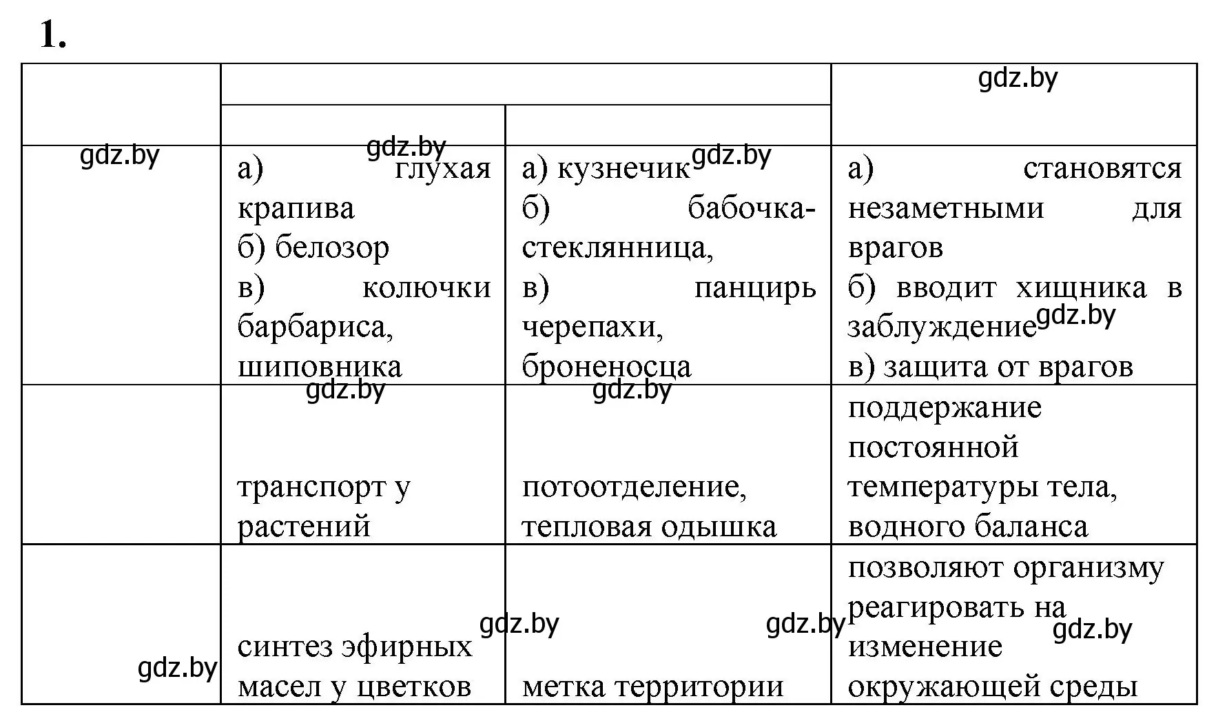 Решение номер 1 (страница 89) гдз по биологии 11 класс Хруцкая, рабочая тетрадь