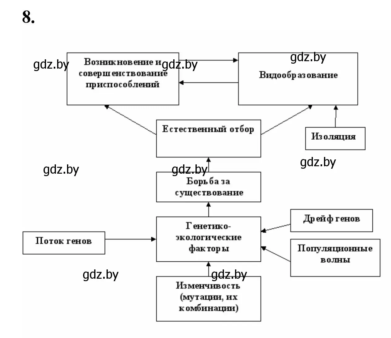 Решение номер 8 (страница 91) гдз по биологии 11 класс Хруцкая, рабочая тетрадь