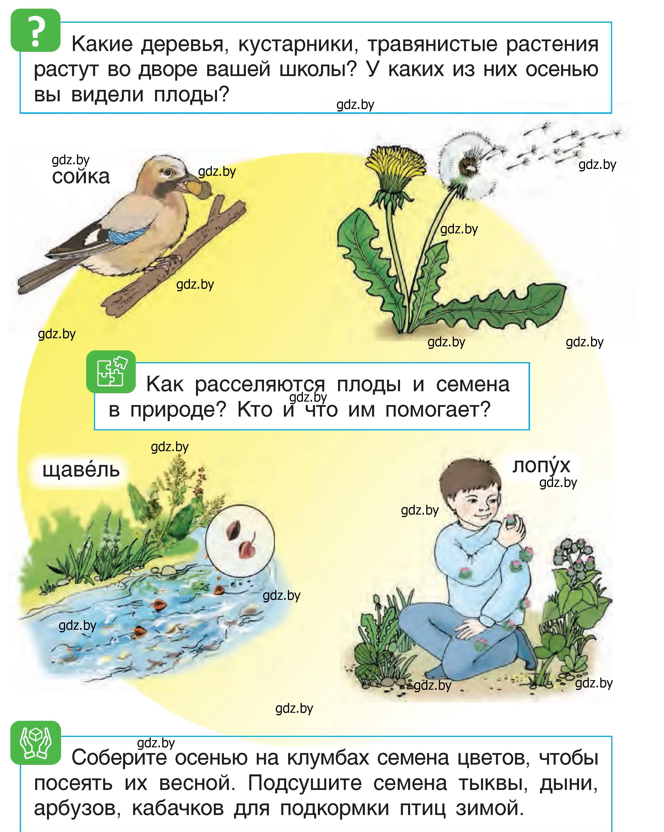 Условие  17 (страница 17) гдз по человек и миру 1 класс Трафимова, Трафимов, учебник