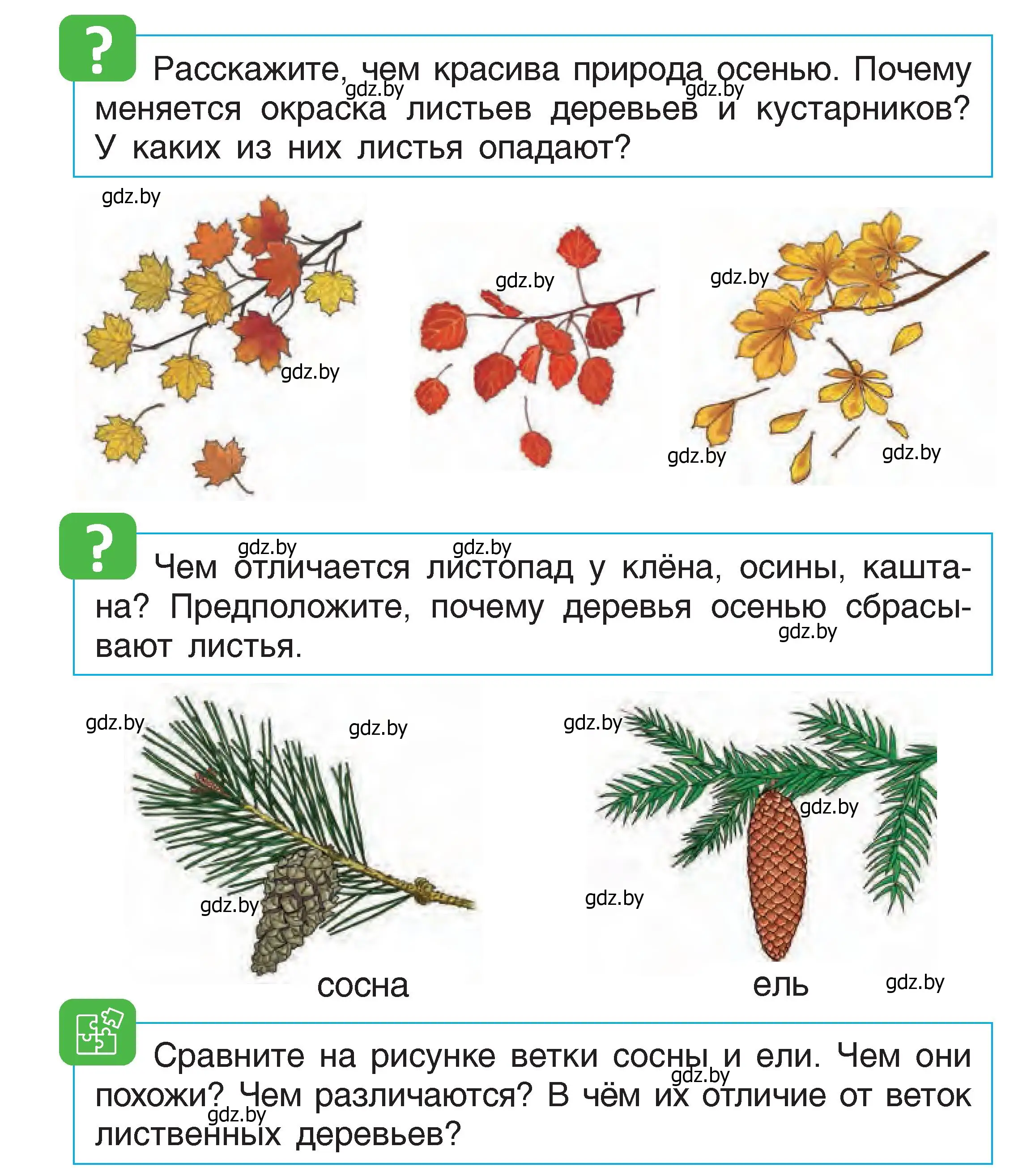 Условие  18 (страница 18) гдз по человек и миру 1 класс Трафимова, Трафимов, учебник