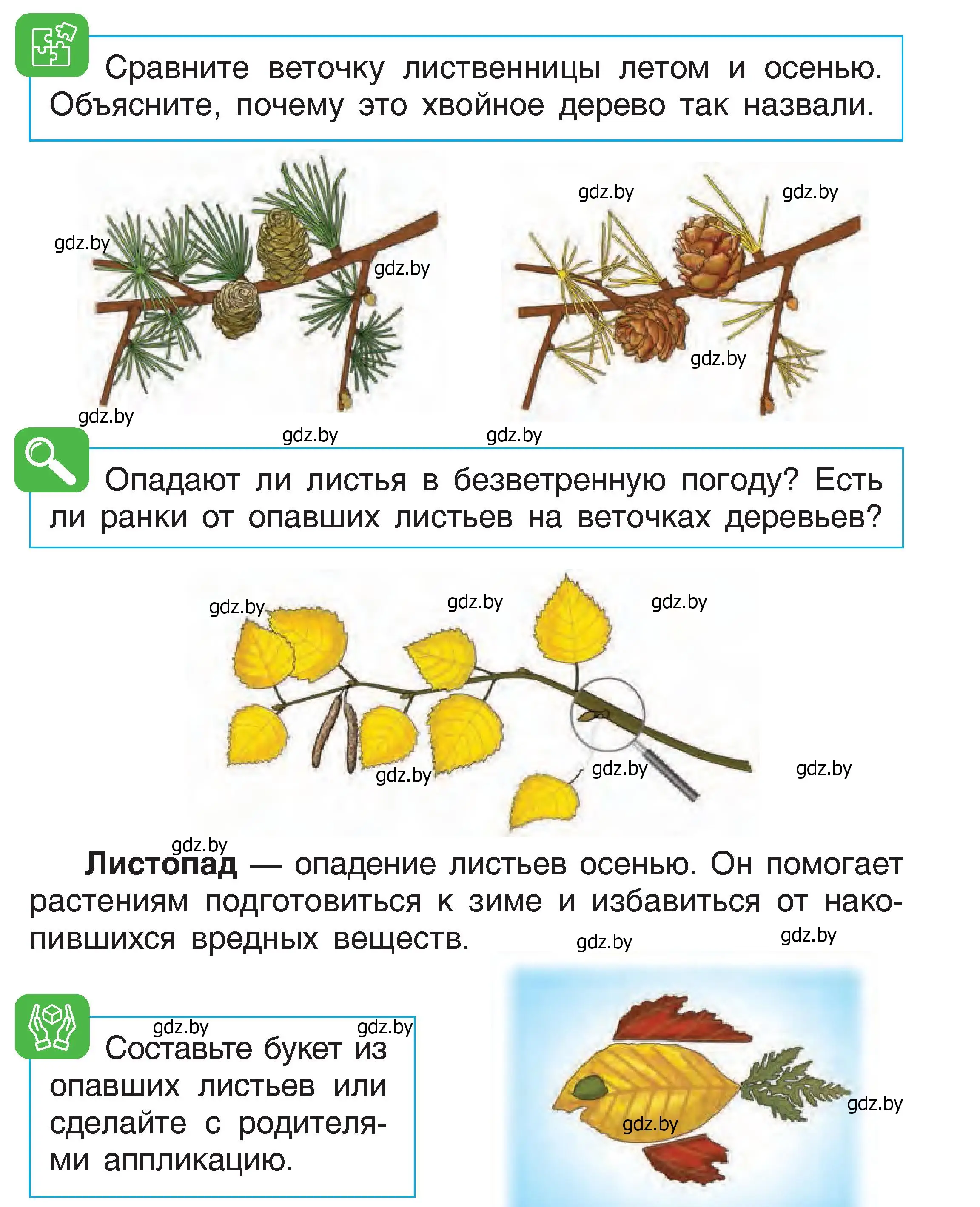 Условие  19 (страница 19) гдз по человек и миру 1 класс Трафимова, Трафимов, учебник