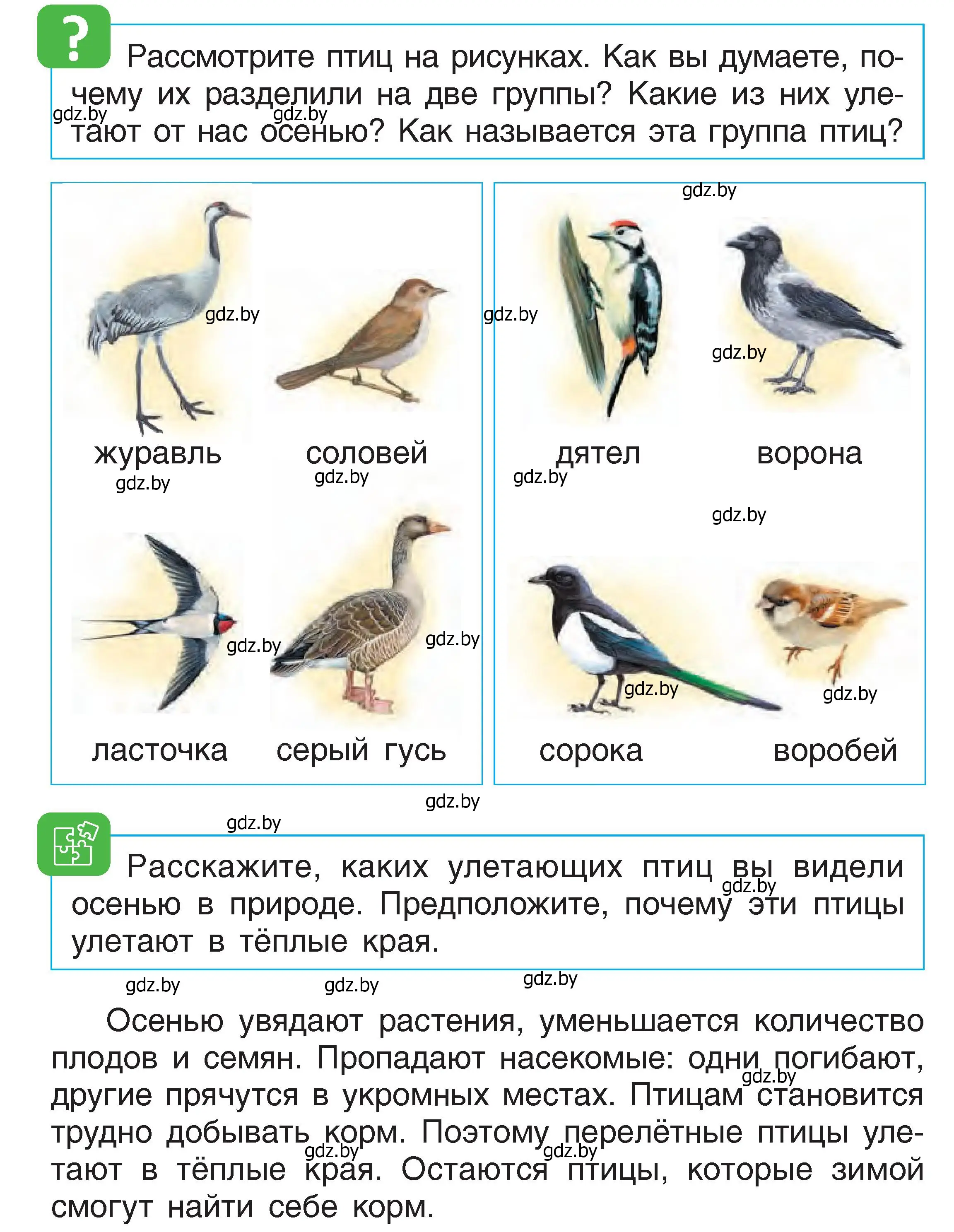 Условие  22 (страница 22) гдз по человек и миру 1 класс Трафимова, Трафимов, учебник