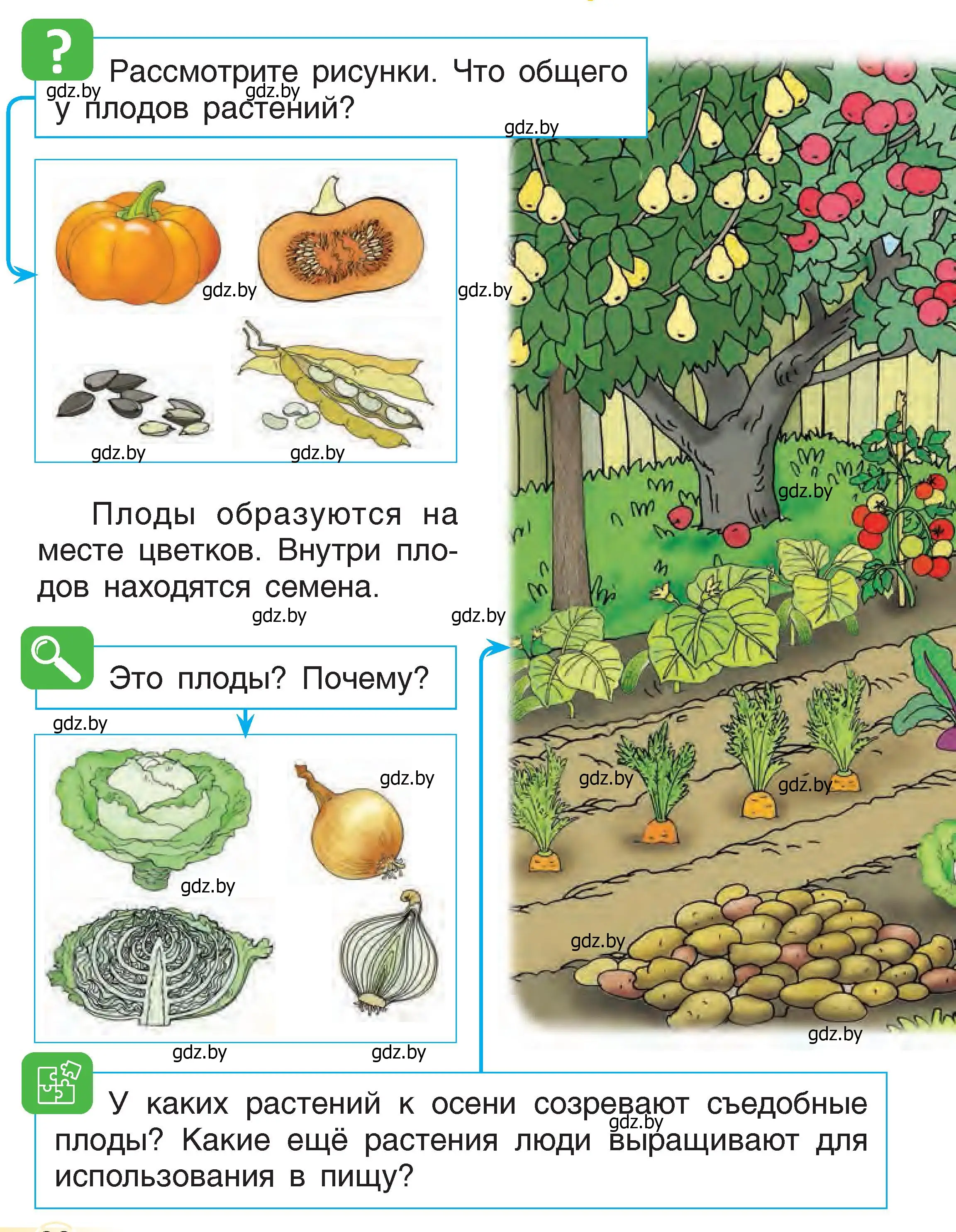 Условие  28 (страница 28) гдз по человек и миру 1 класс Трафимова, Трафимов, учебник