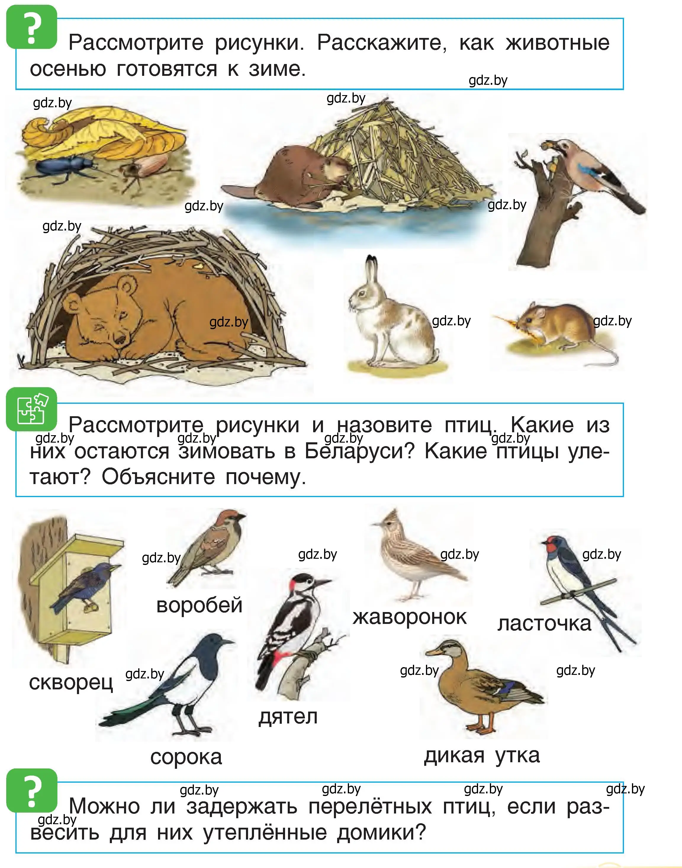 Условие  31 (страница 31) гдз по человек и миру 1 класс Трафимова, Трафимов, учебник