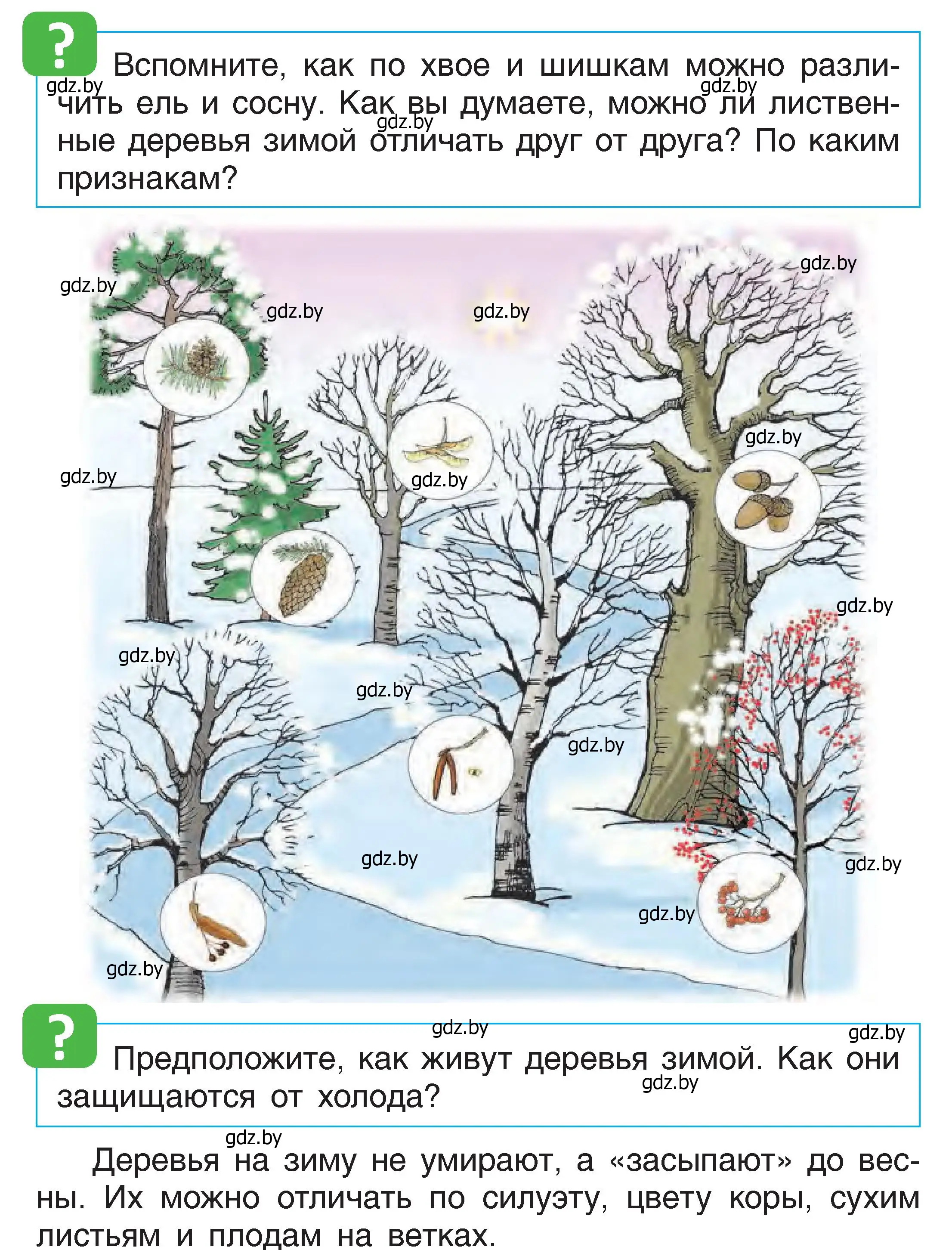 Условие  36 (страница 36) гдз по человек и миру 1 класс Трафимова, Трафимов, учебник