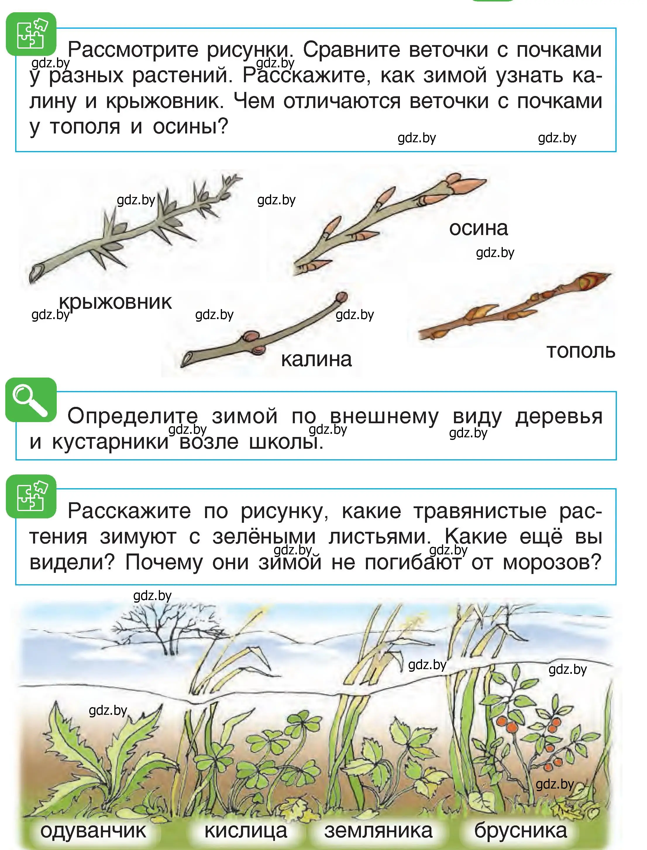 Условие  37 (страница 37) гдз по человек и миру 1 класс Трафимова, Трафимов, учебник