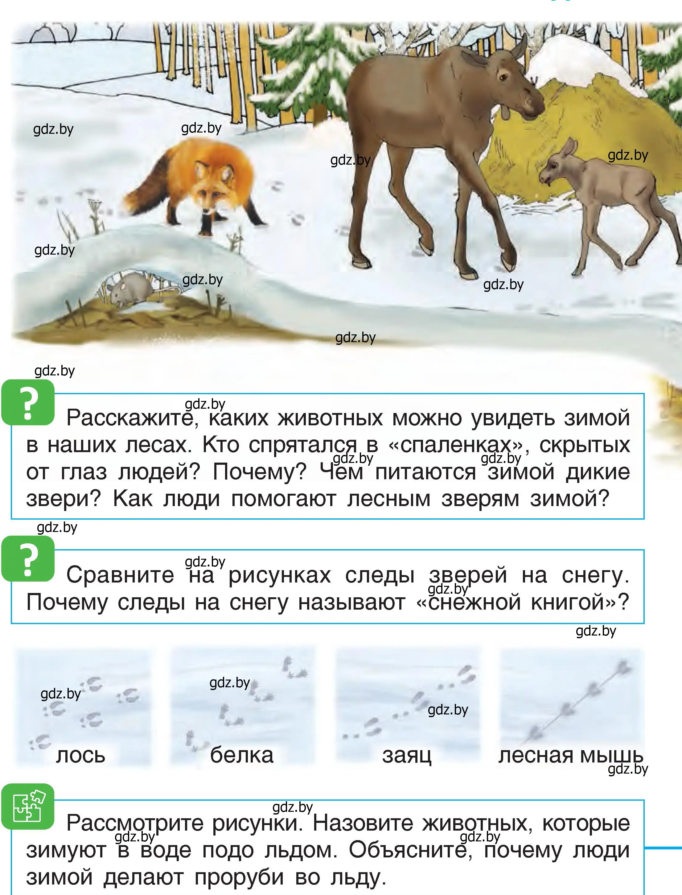 Условие  38 (страница 38) гдз по человек и миру 1 класс Трафимова, Трафимов, учебник