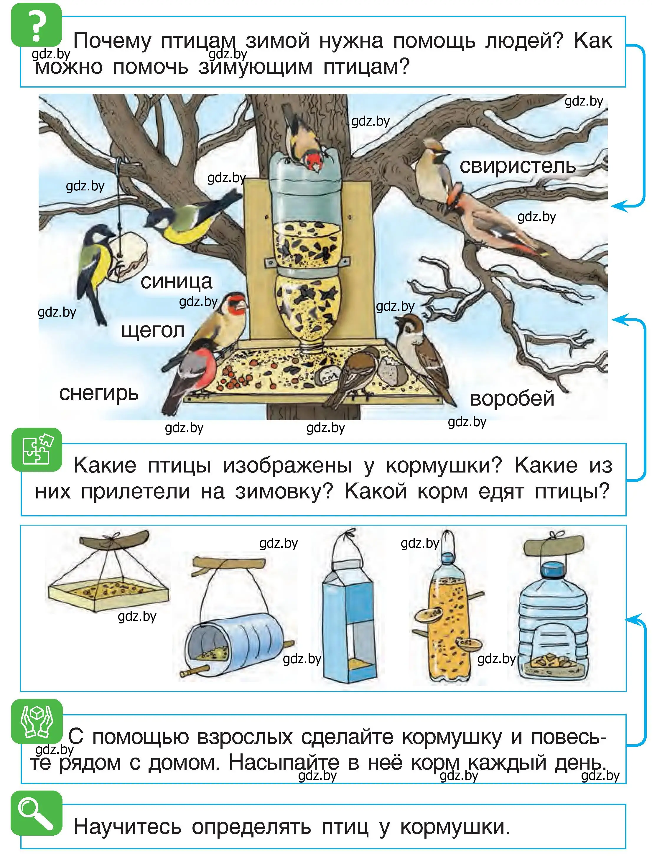 Условие  41 (страница 41) гдз по человек и миру 1 класс Трафимова, Трафимов, учебник