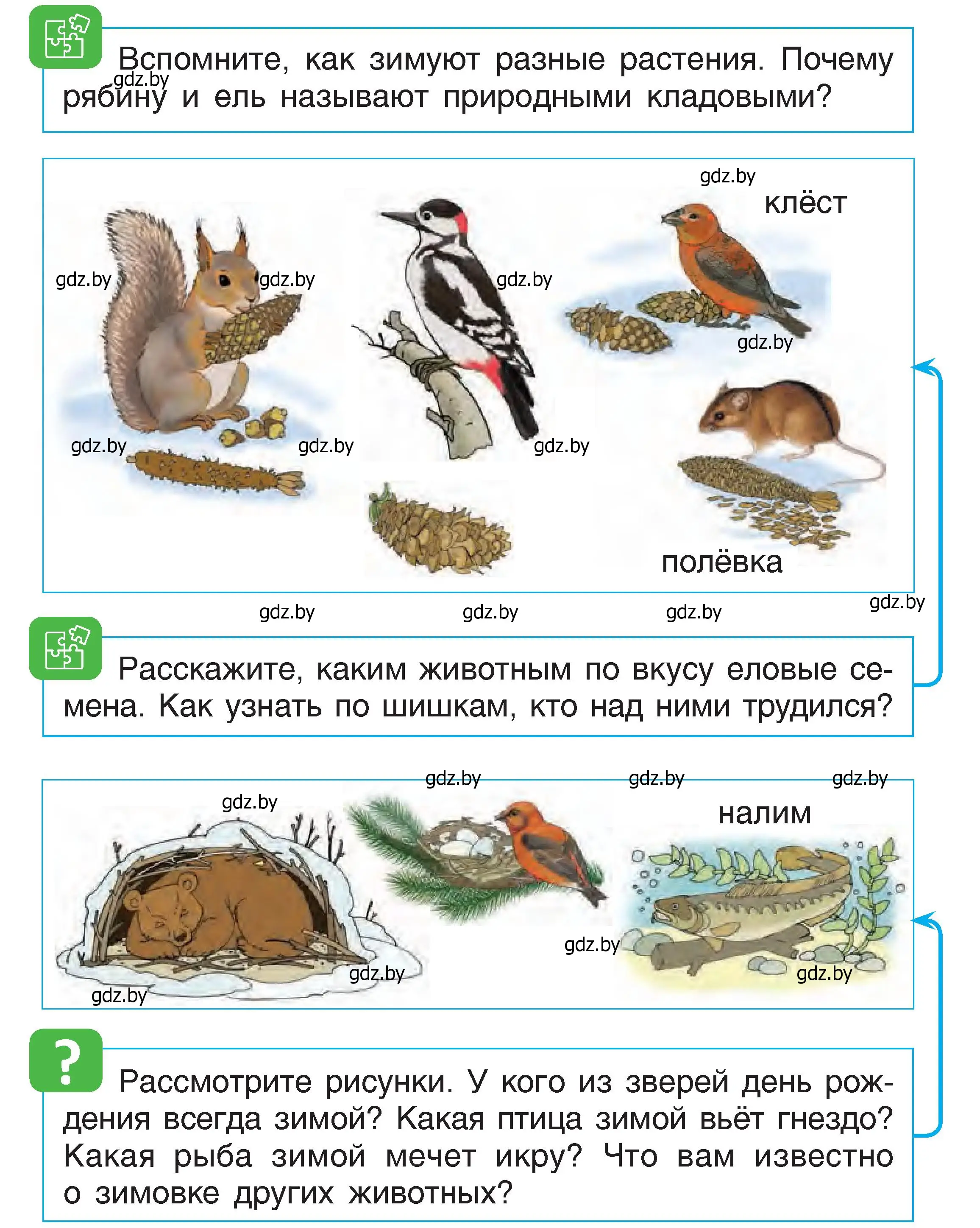 Условие  47 (страница 47) гдз по человек и миру 1 класс Трафимова, Трафимов, учебник