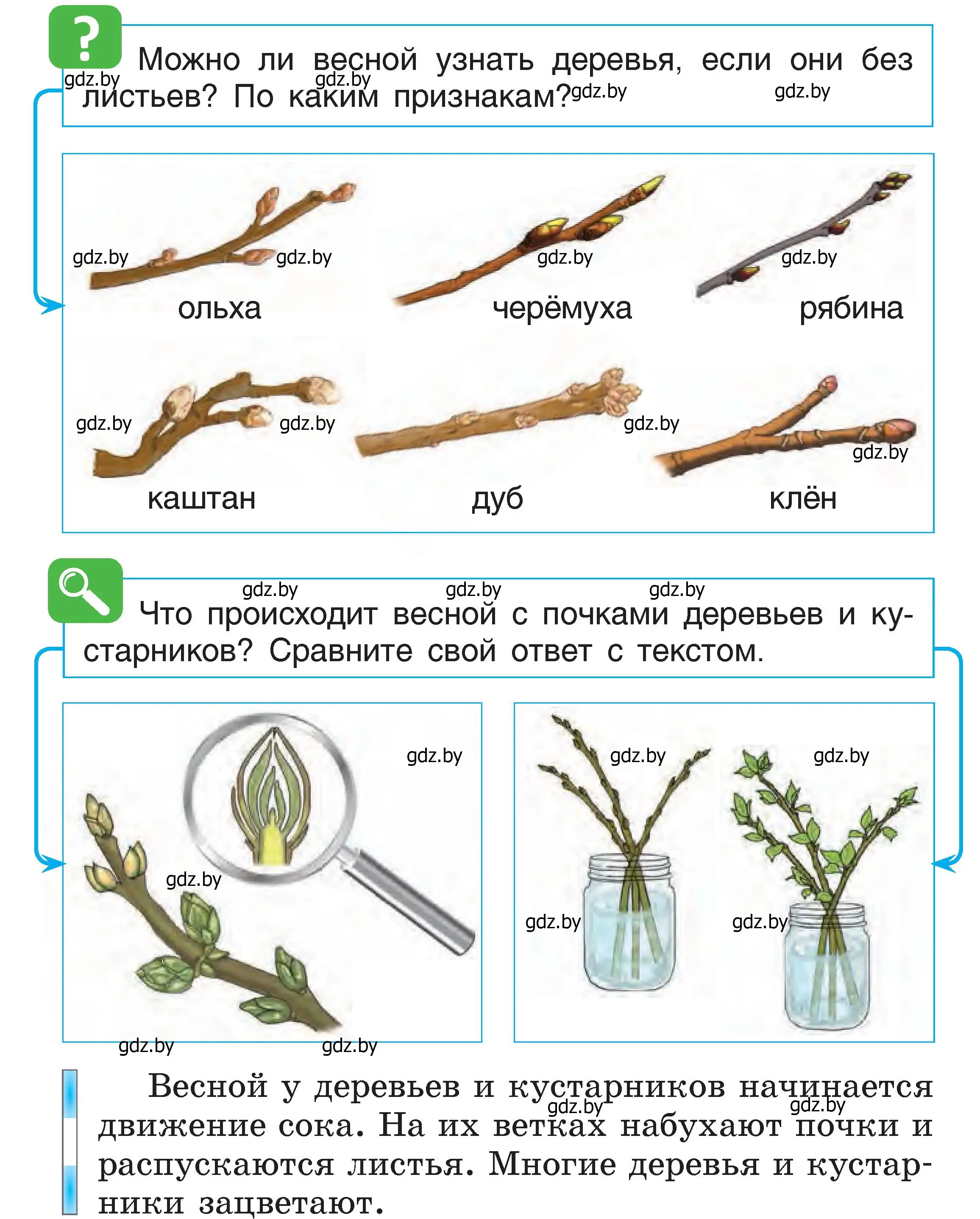 Условие  62 (страница 62) гдз по человек и миру 1 класс Трафимова, Трафимов, учебник