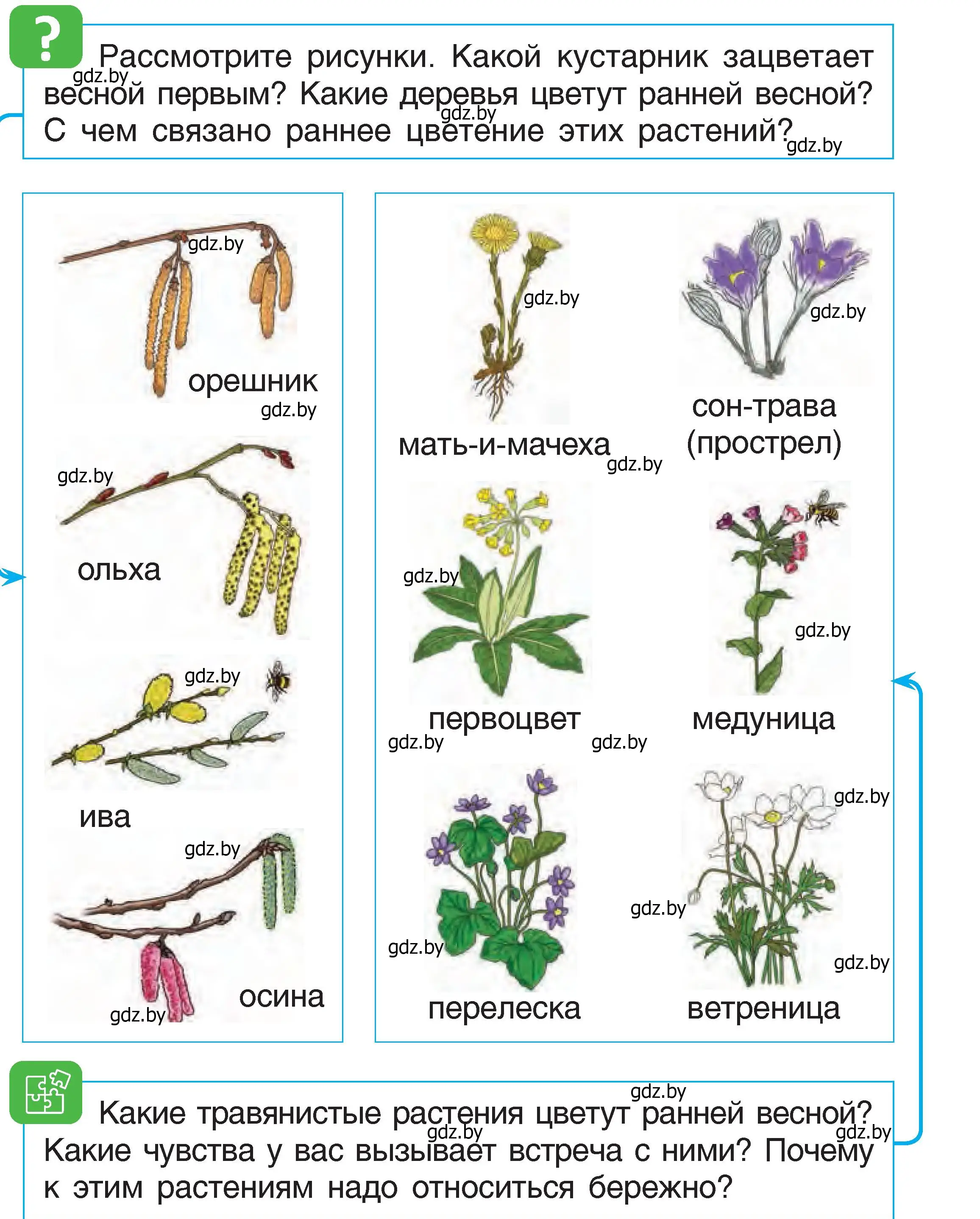 Условие  63 (страница 63) гдз по человек и миру 1 класс Трафимова, Трафимов, учебник