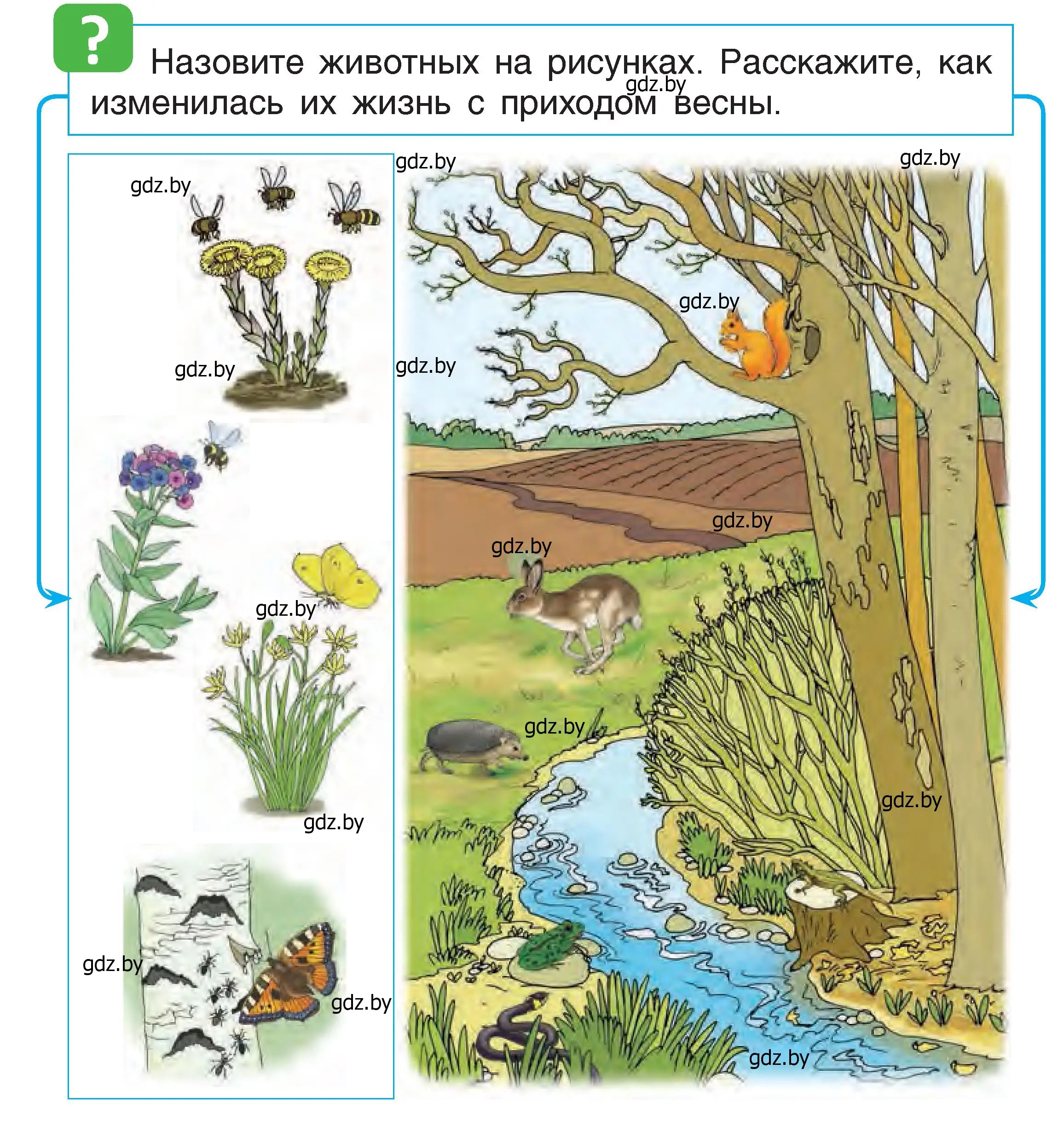 Условие  64 (страница 64) гдз по человек и миру 1 класс Трафимова, Трафимов, учебник