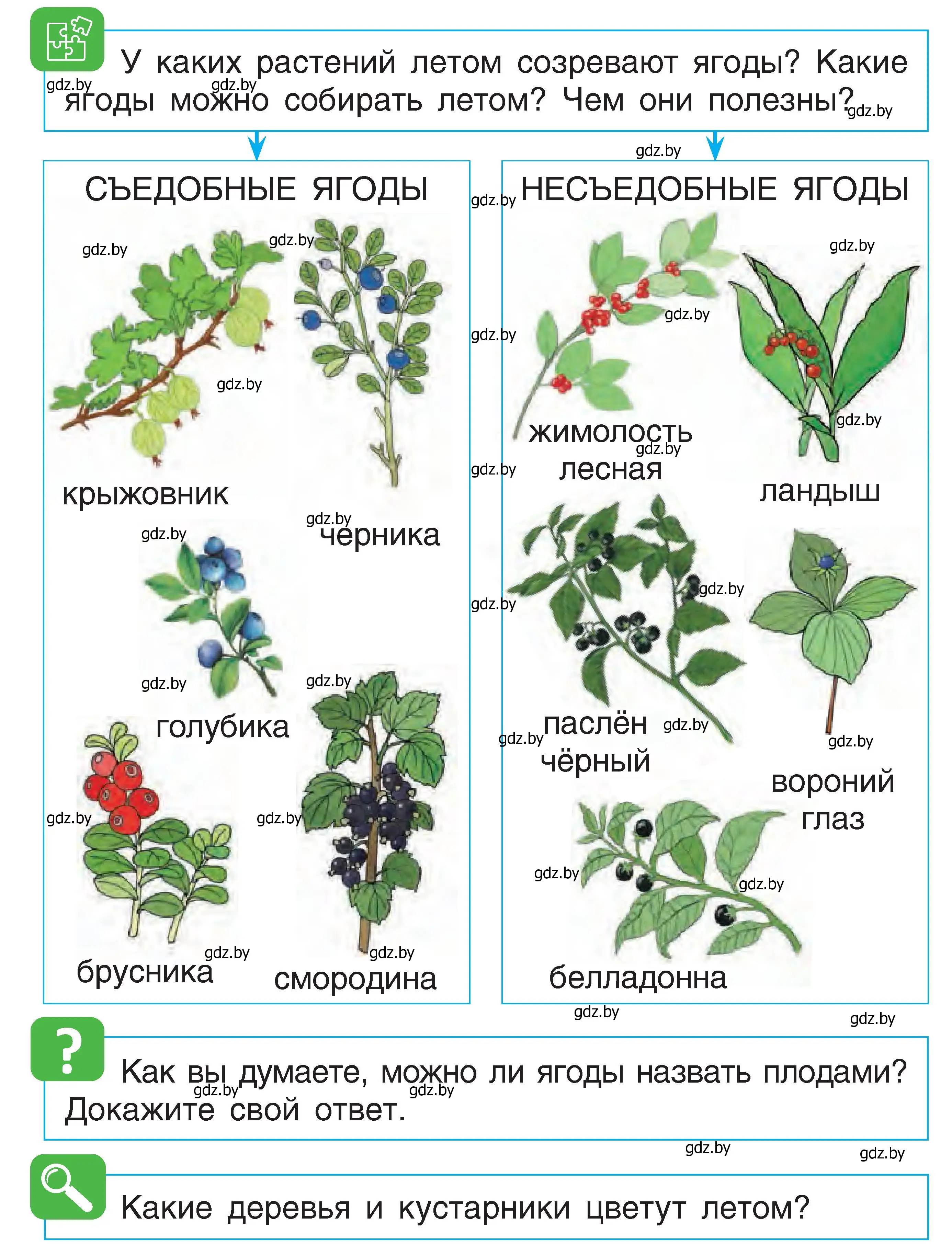 Условие  73 (страница 73) гдз по человек и миру 1 класс Трафимова, Трафимов, учебник