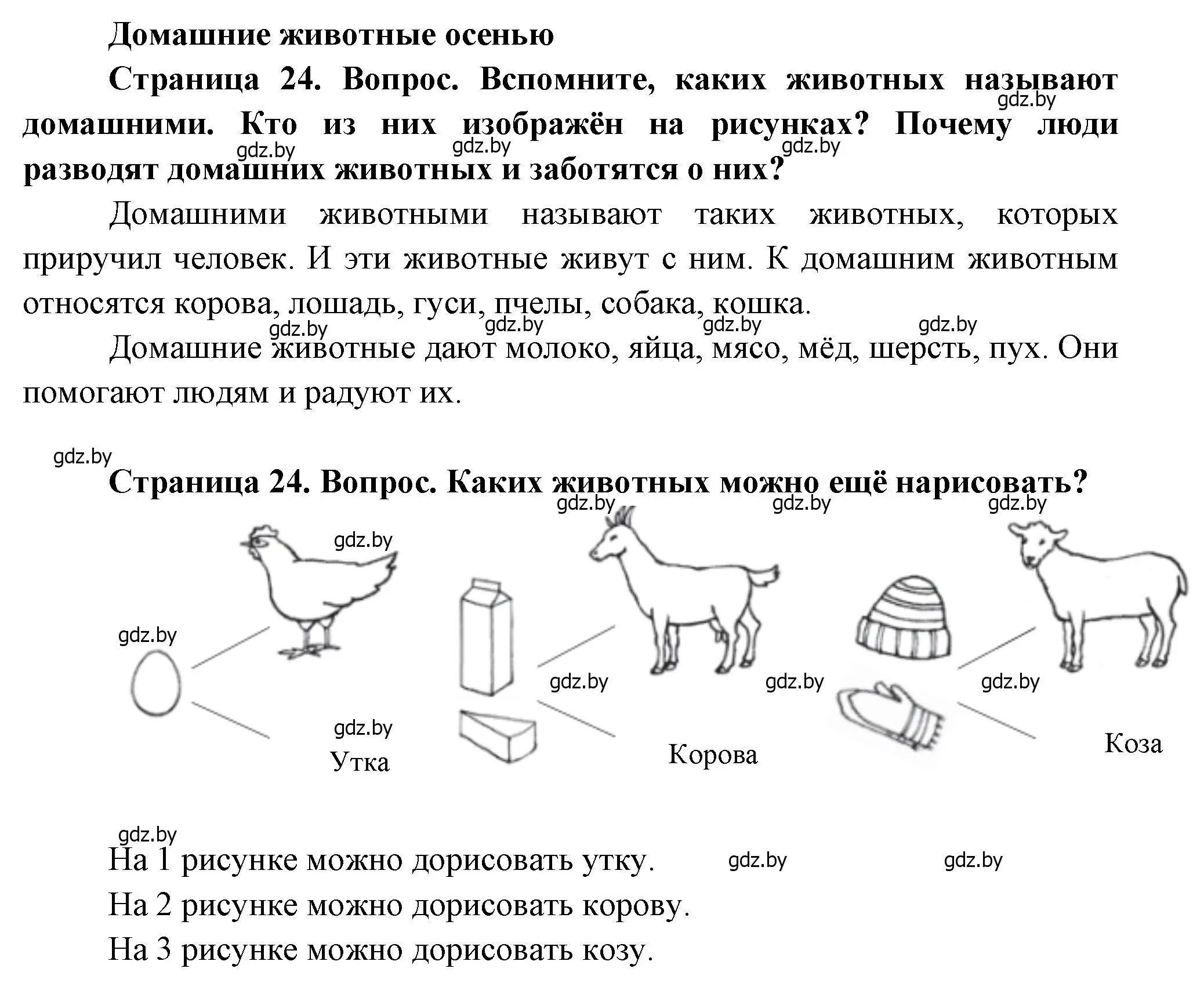 Решение  24 (страница 24) гдз по человек и миру 1 класс Трафимова, Трафимов, учебник