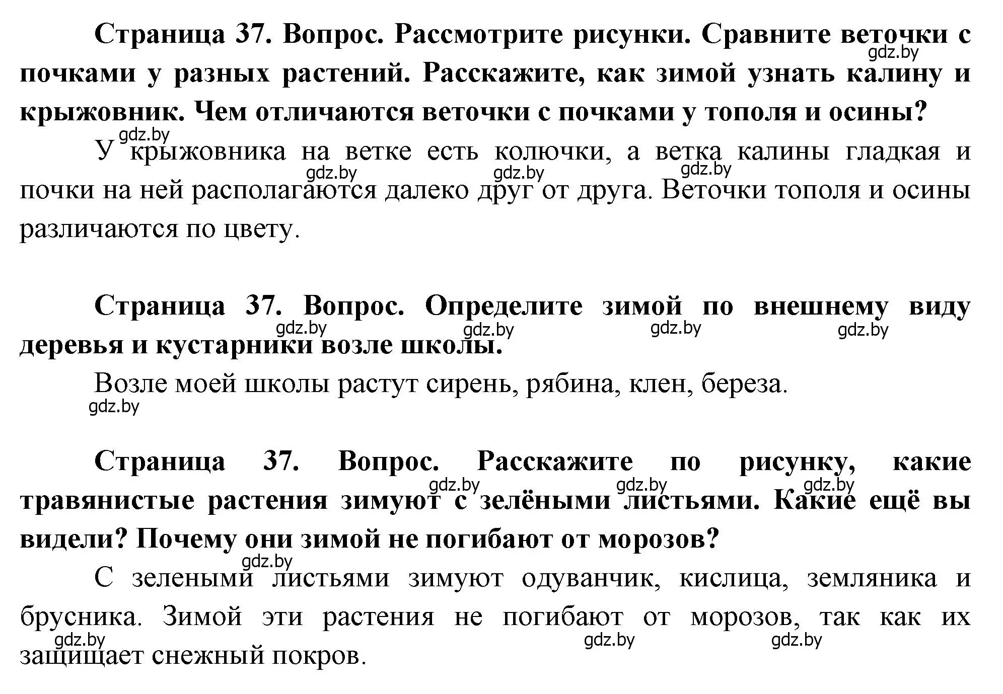 Решение  37 (страница 37) гдз по человек и миру 1 класс Трафимова, Трафимов, учебник