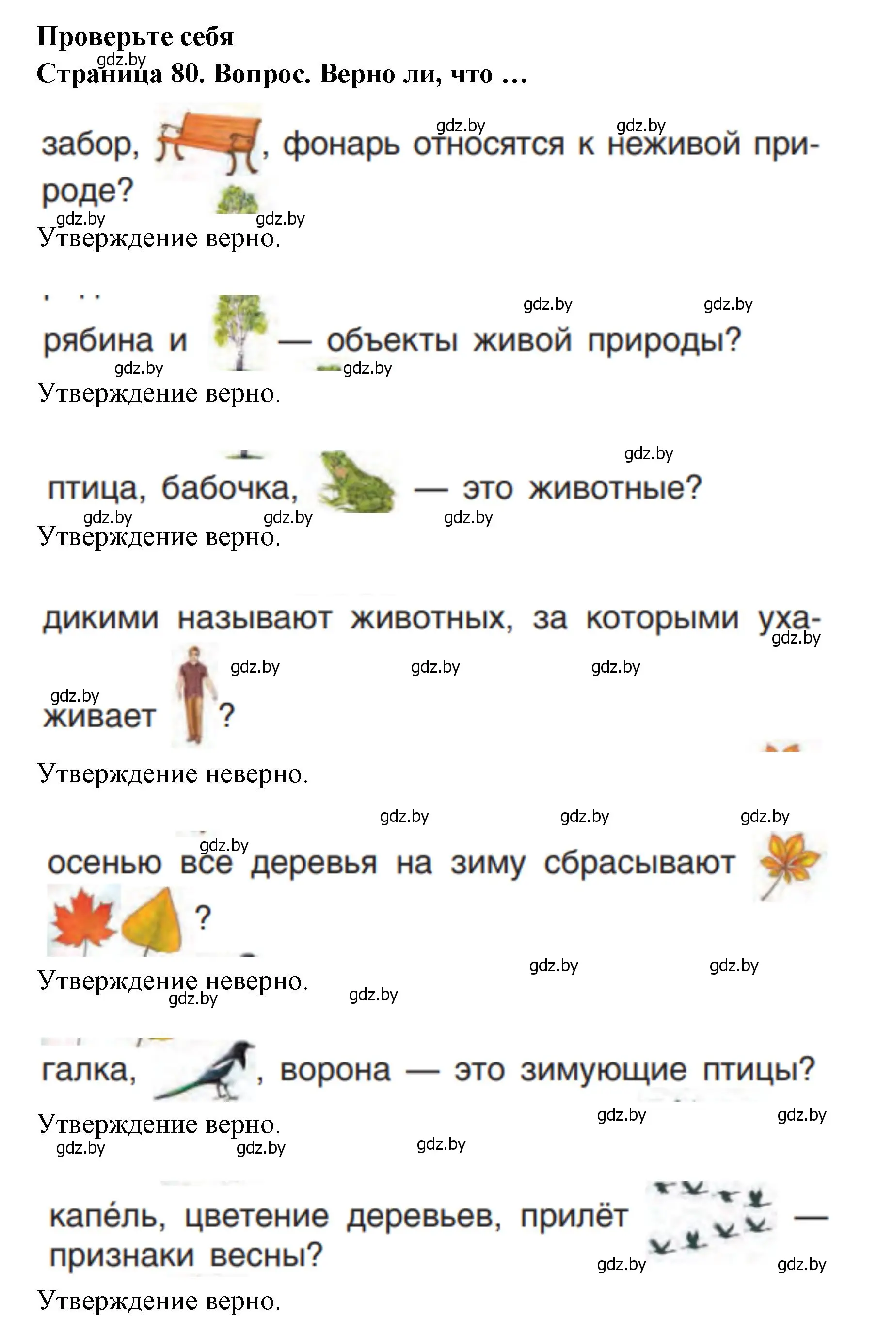 Решение  80 (страница 80) гдз по человек и миру 1 класс Трафимова, Трафимов, учебник