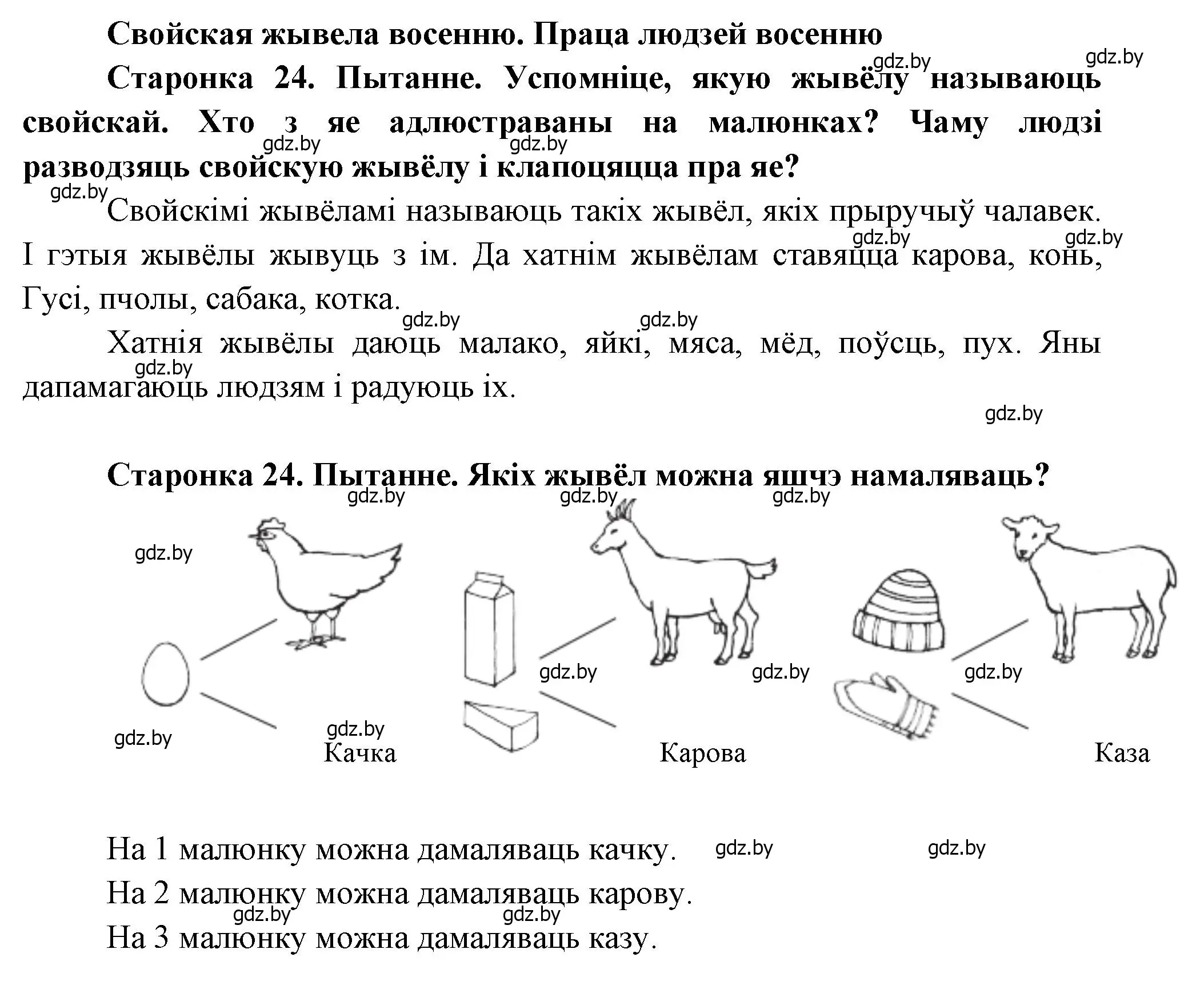 Решение 2.  24 (страница 24) гдз по человек и миру 1 класс Трафимова, Трафимов, учебник