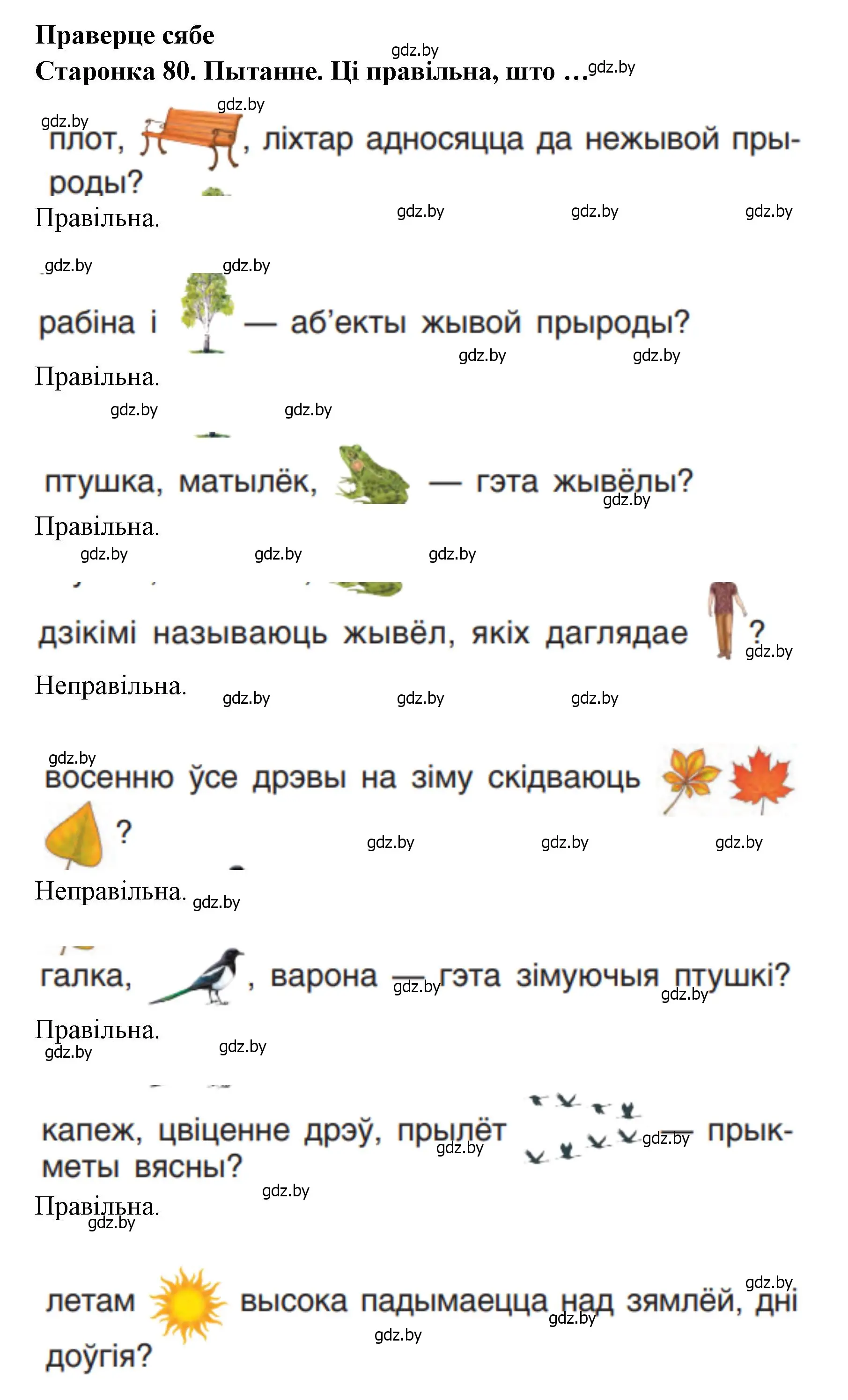 Решение 2.  80 (страница 80) гдз по человек и миру 1 класс Трафимова, Трафимов, учебник