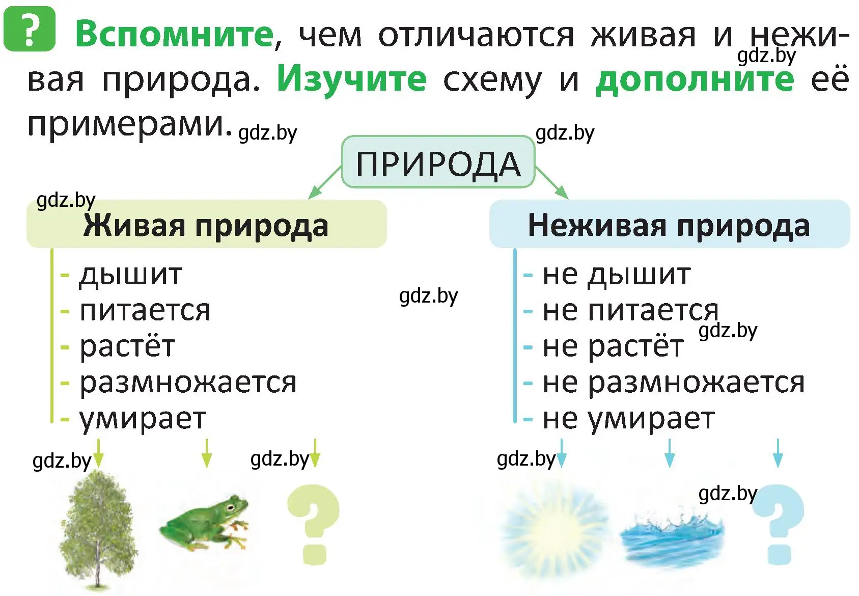 Условие номер 2 (страница 6) гдз по человек и миру 2 класс Трафимова, Трафимов, учебник