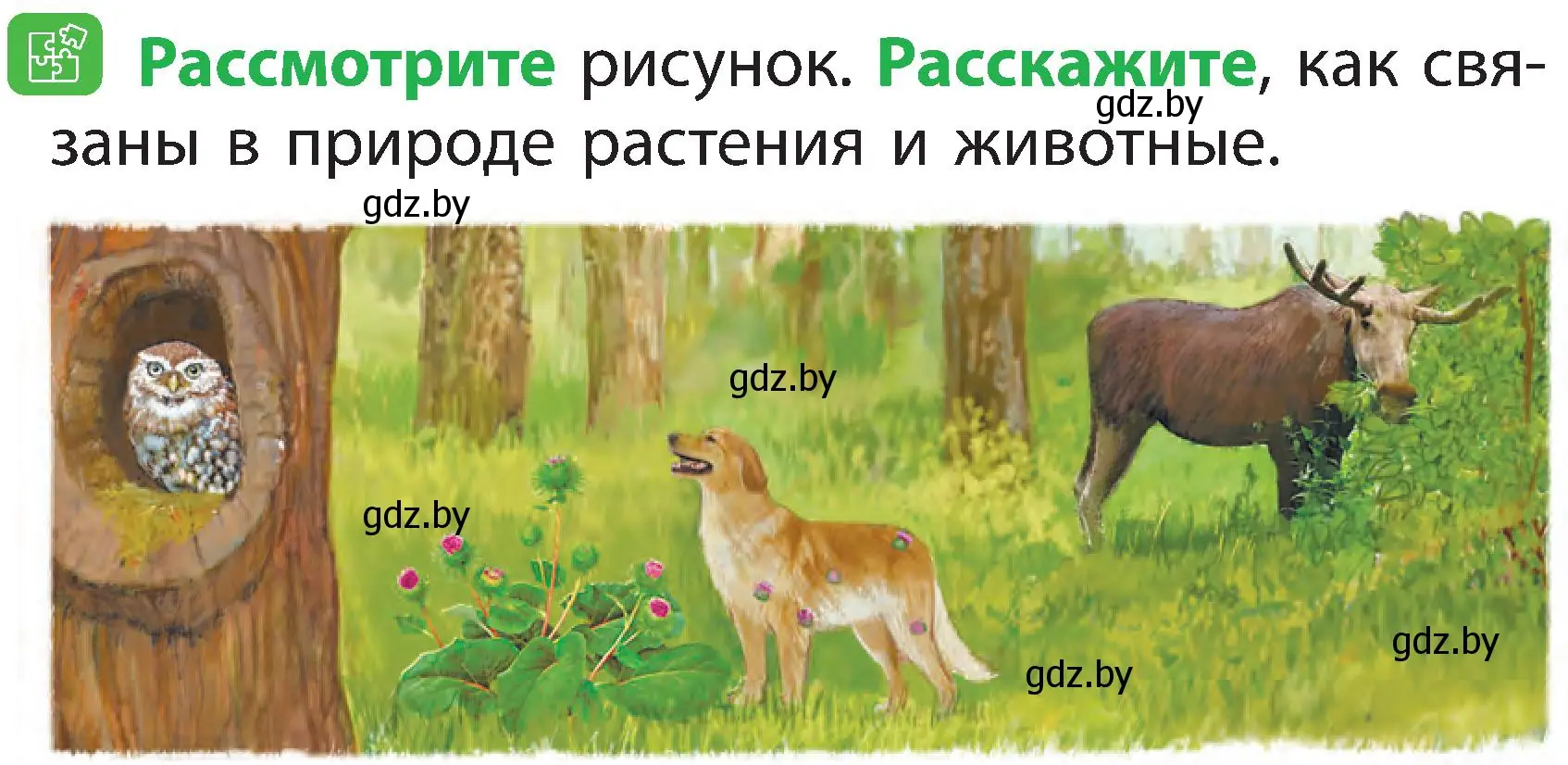 Условие номер 3 (страница 7) гдз по человек и миру 2 класс Трафимова, Трафимов, учебник