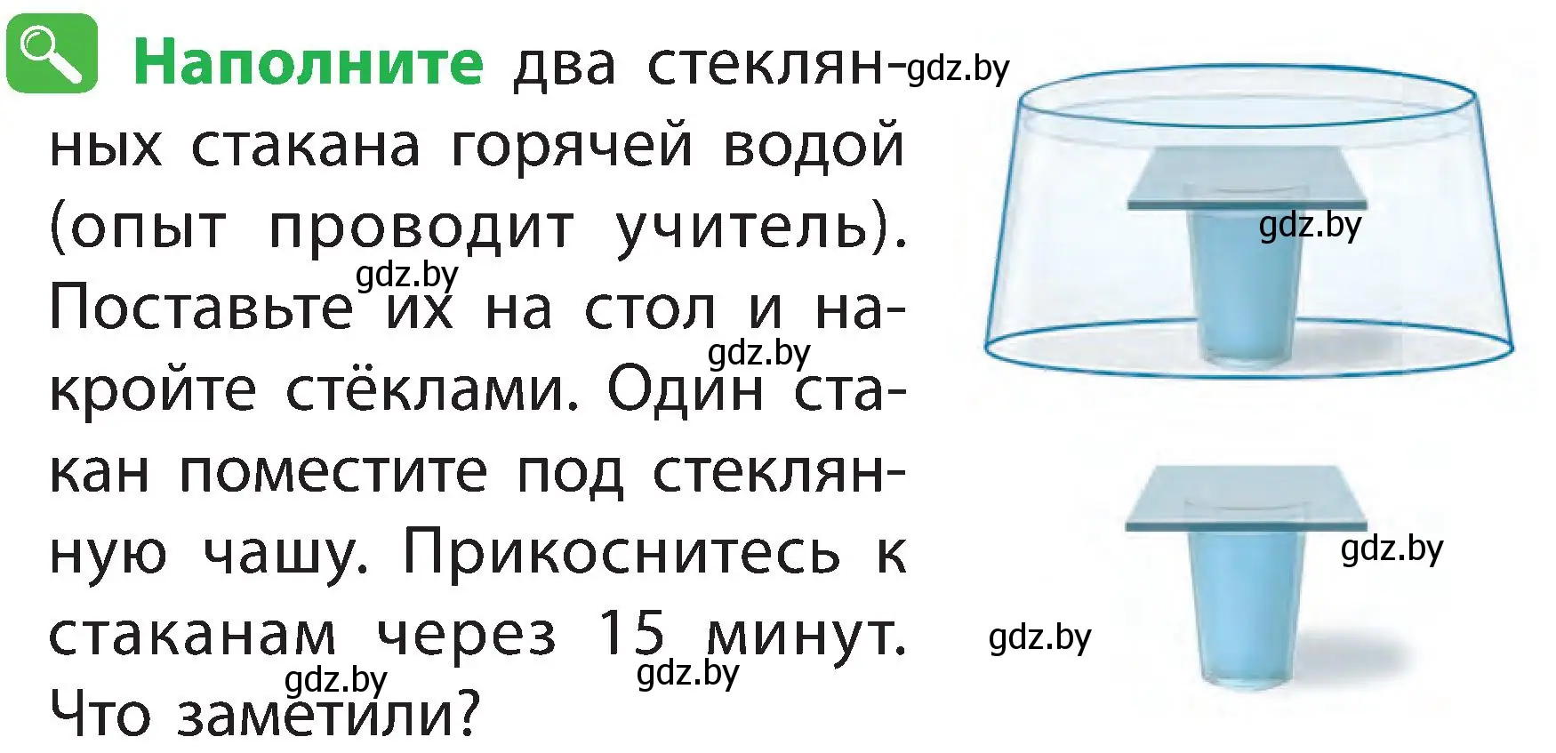 Условие номер 5 (страница 13) гдз по человек и миру 2 класс Трафимова, Трафимов, учебник