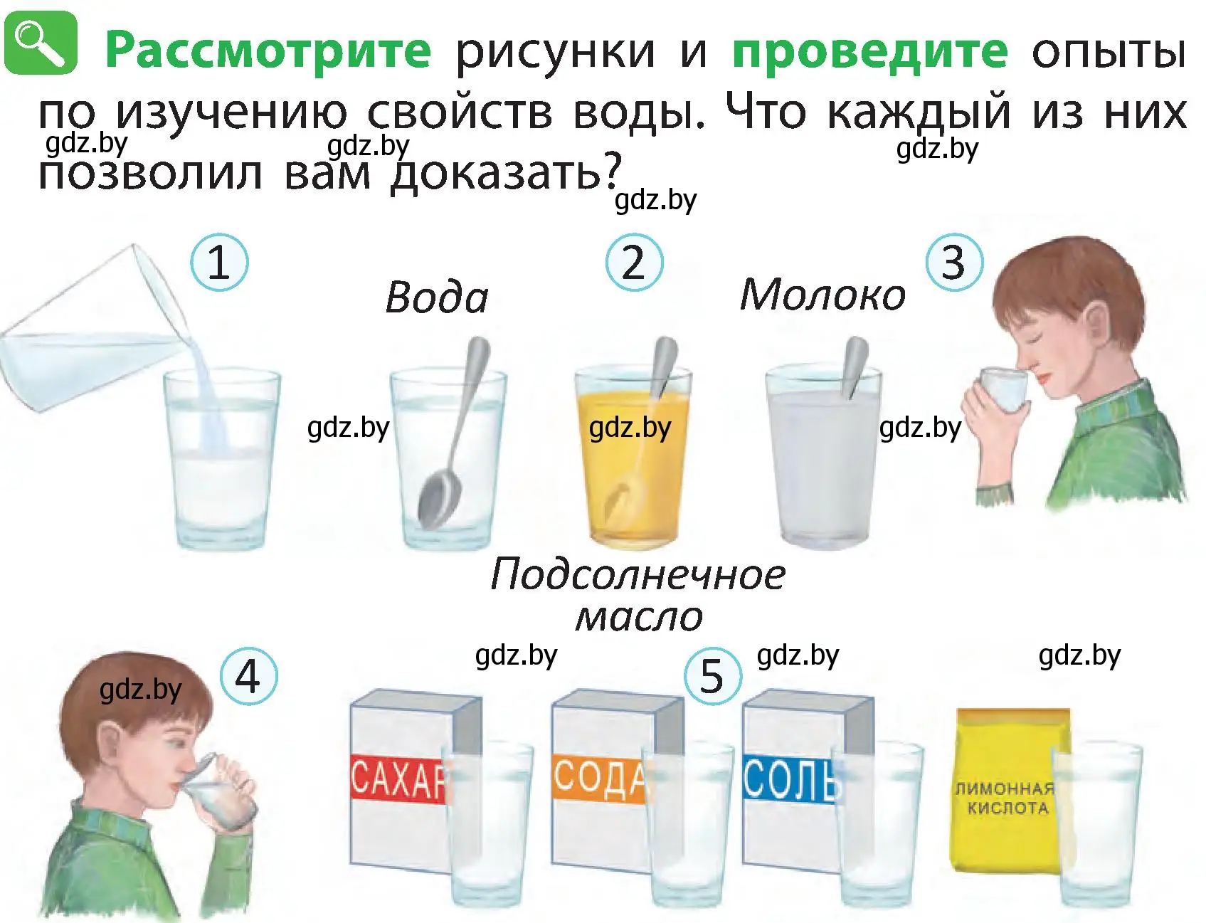 Условие номер 4 (страница 20) гдз по человек и миру 2 класс Трафимова, Трафимов, учебник