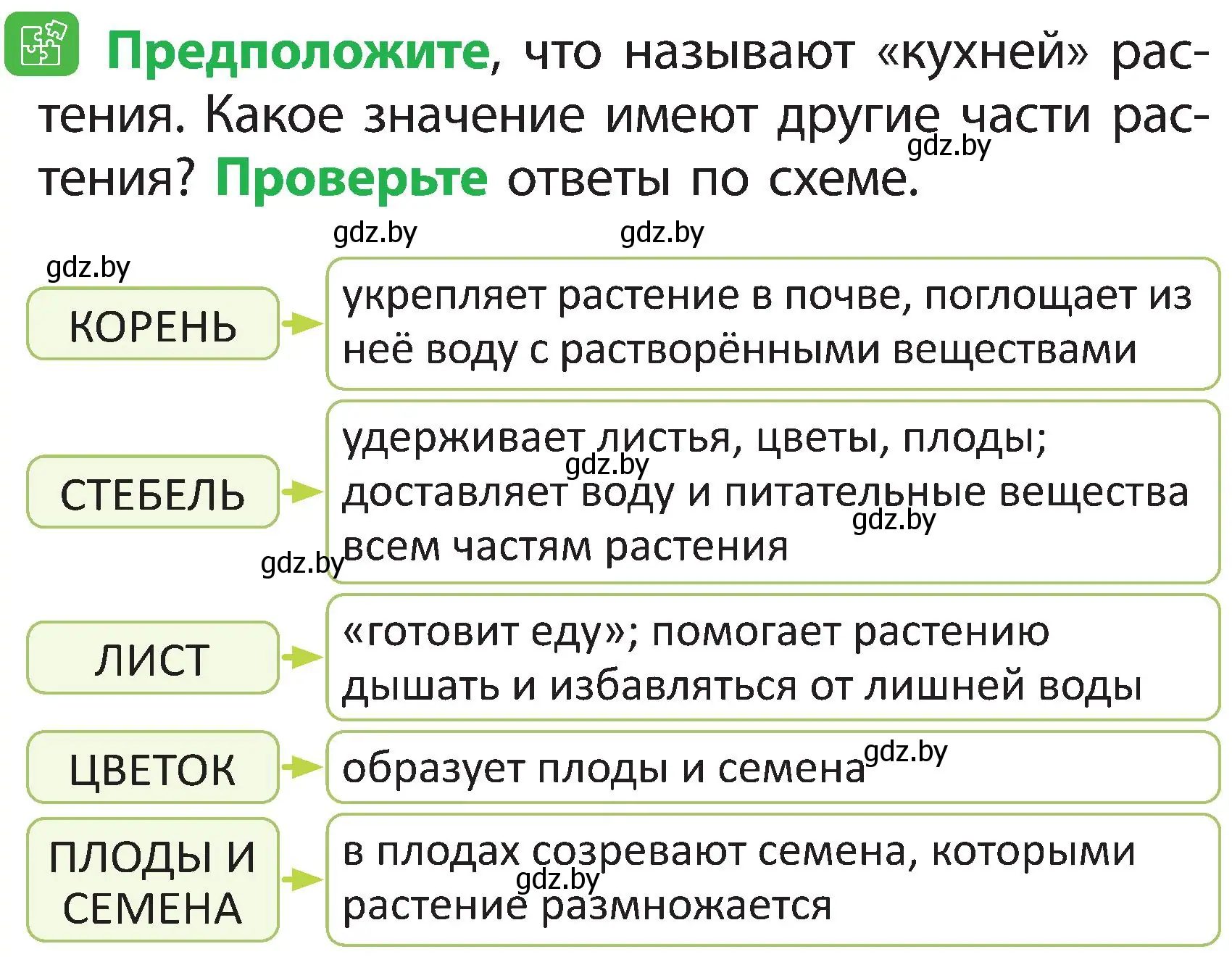 Условие номер 4 (страница 38) гдз по человек и миру 2 класс Трафимова, Трафимов, учебник