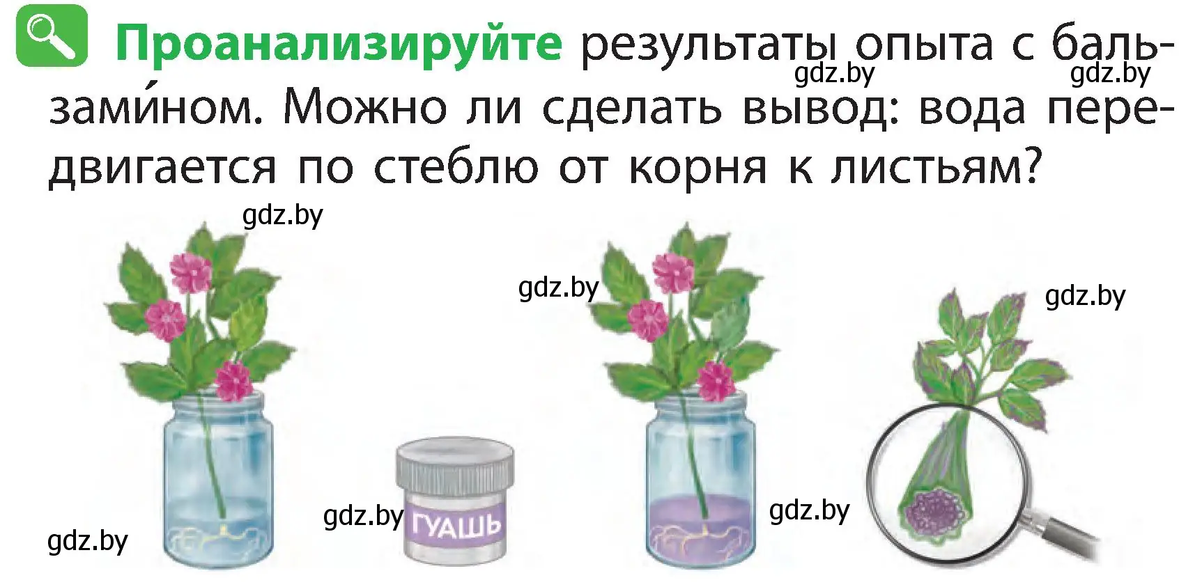 Условие номер 5 (страница 39) гдз по человек и миру 2 класс Трафимова, Трафимов, учебник