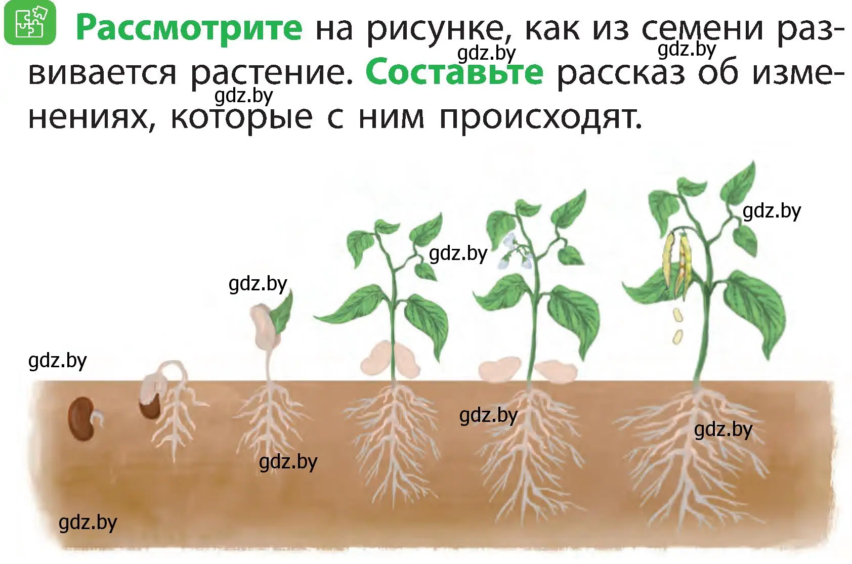 Условие номер 5 (страница 43) гдз по человек и миру 2 класс Трафимова, Трафимов, учебник