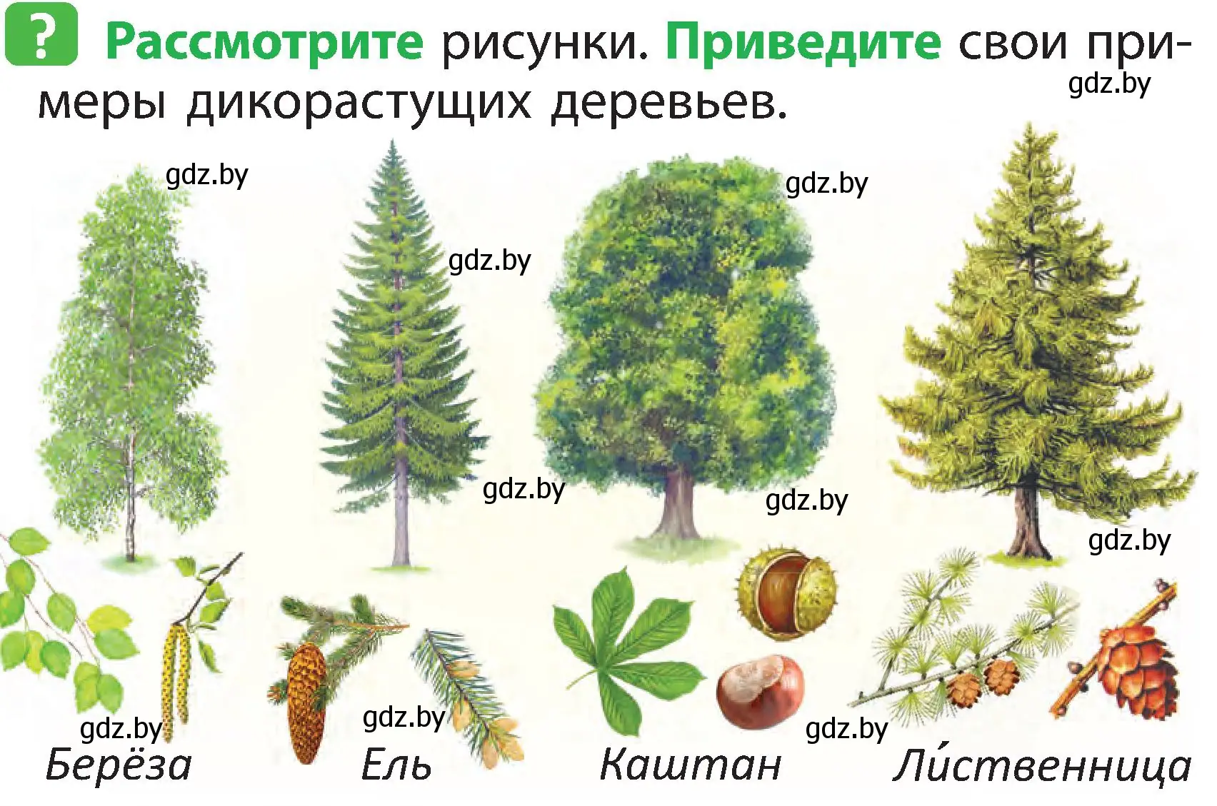 Условие номер 2 (страница 44) гдз по человек и миру 2 класс Трафимова, Трафимов, учебник