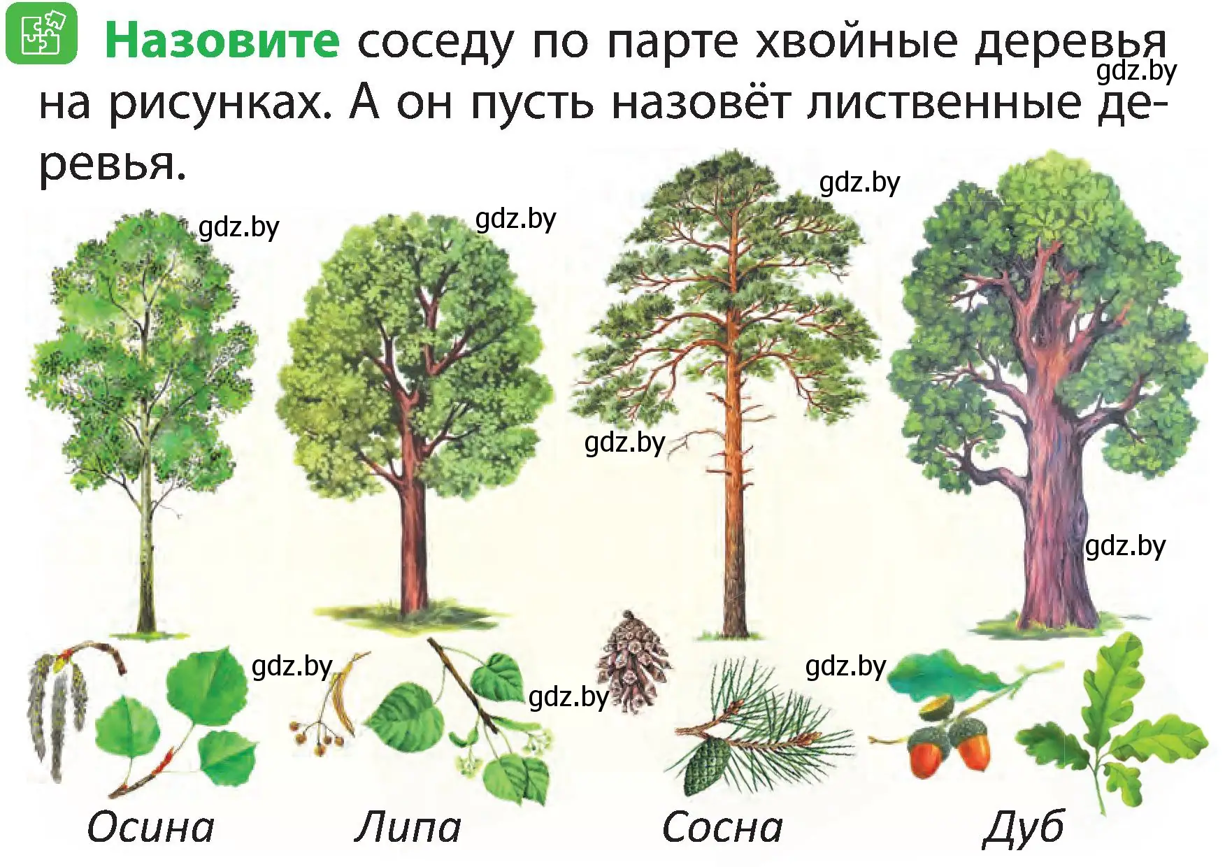 Условие номер 3 (страница 45) гдз по человек и миру 2 класс Трафимова, Трафимов, учебник