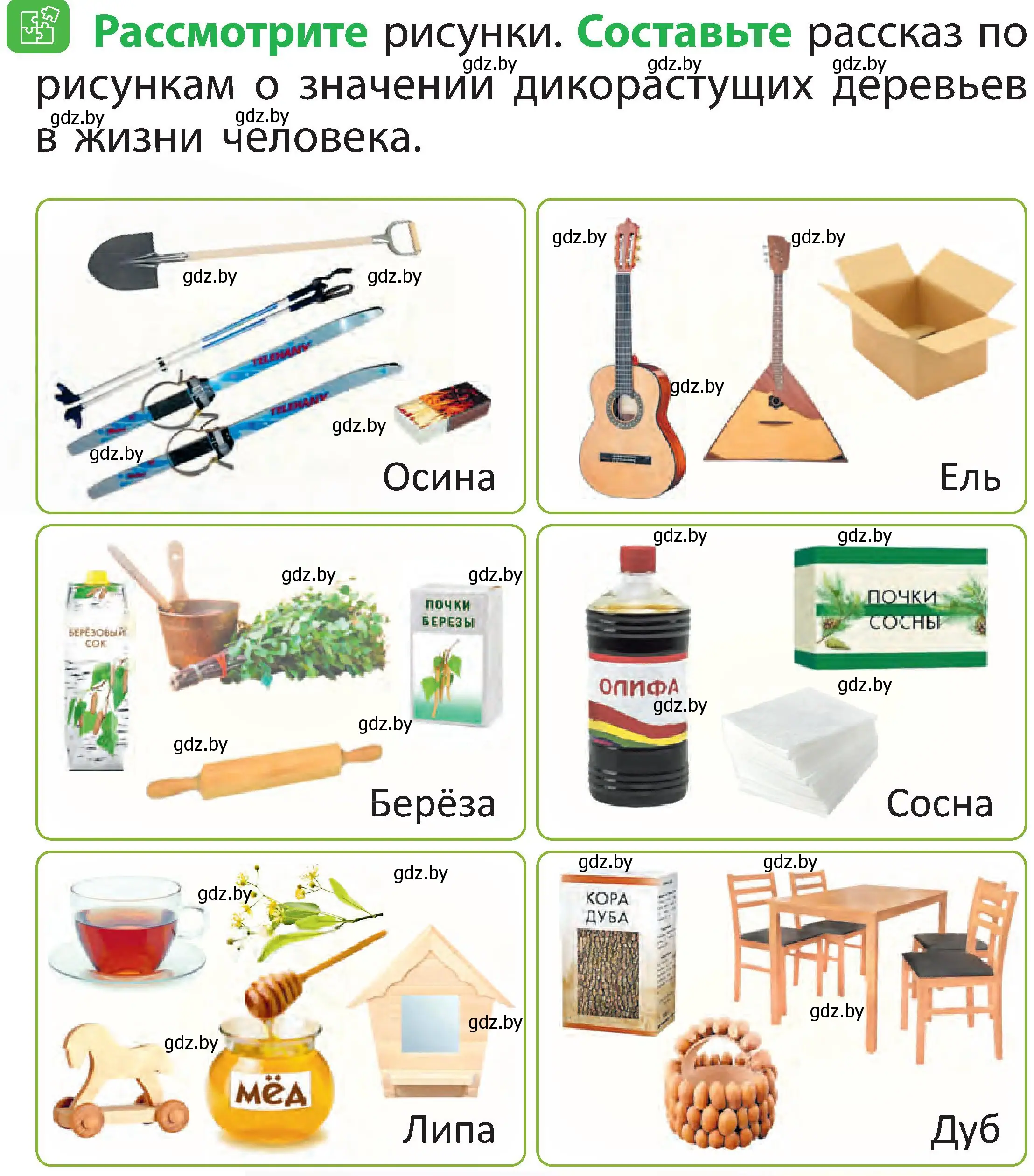 Условие номер 7 (страница 47) гдз по человек и миру 2 класс Трафимова, Трафимов, учебник