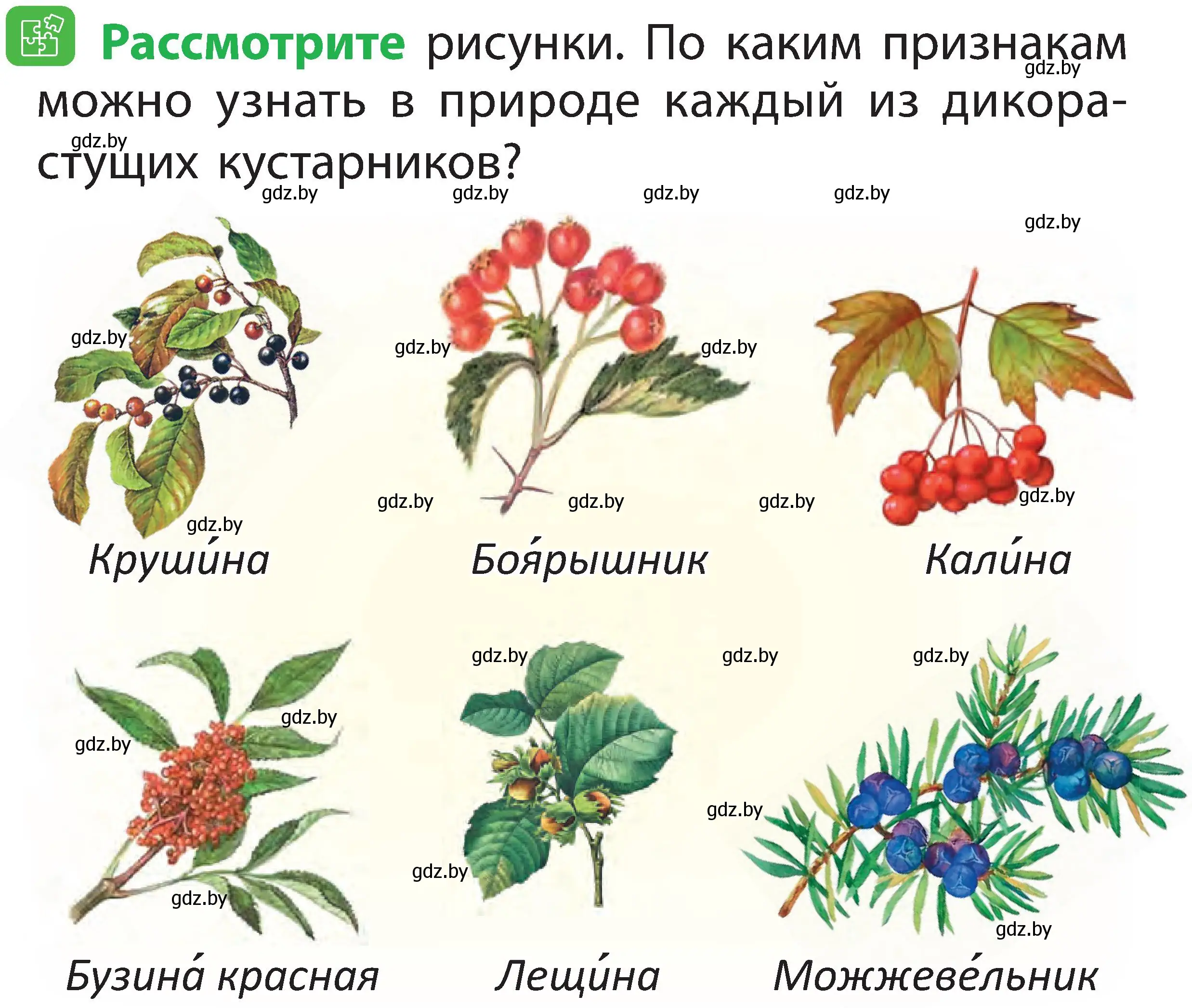 Условие номер 2 (страница 50) гдз по человек и миру 2 класс Трафимова, Трафимов, учебник