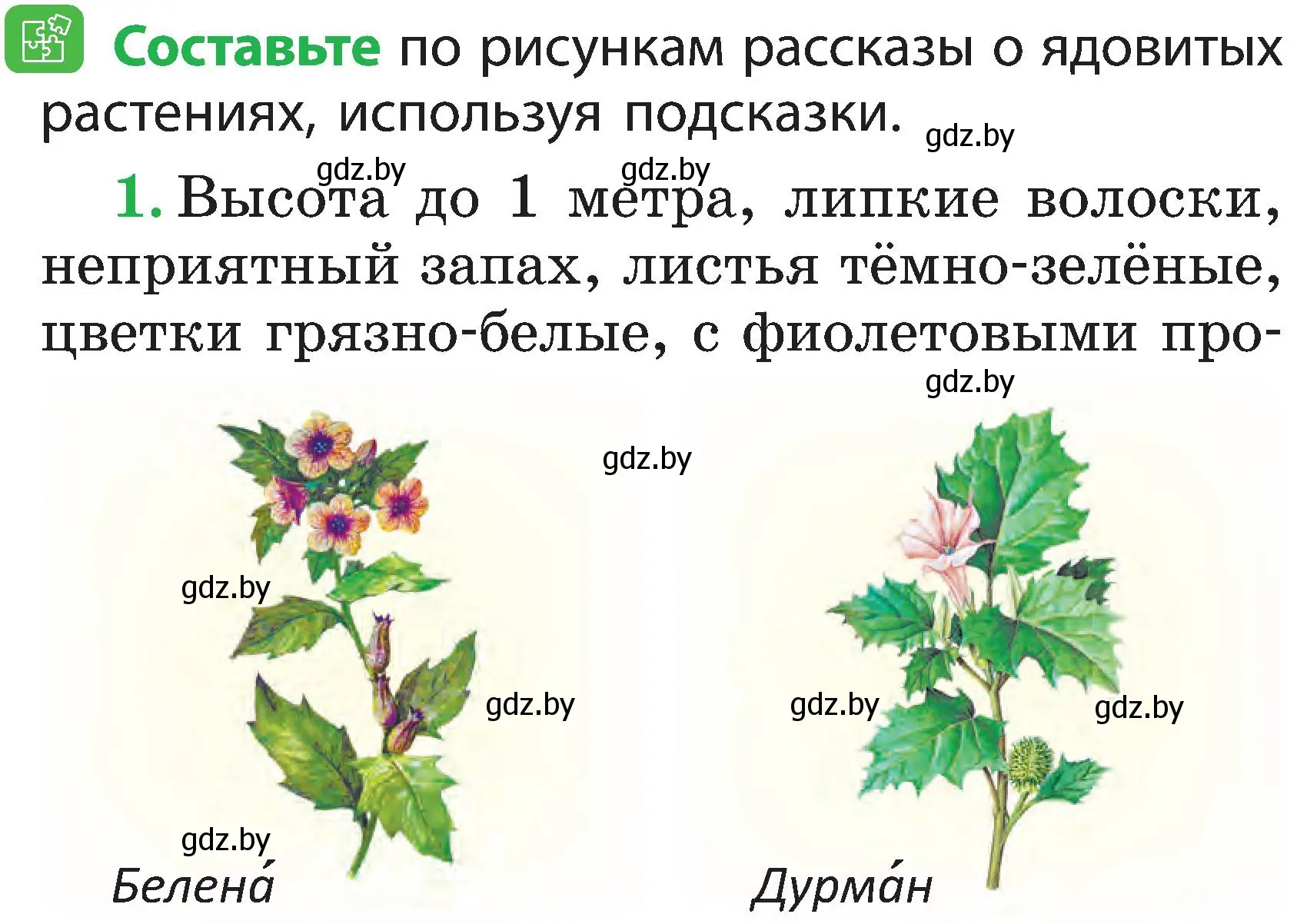 Условие номер 2 (страница 56) гдз по человек и миру 2 класс Трафимова, Трафимов, учебник