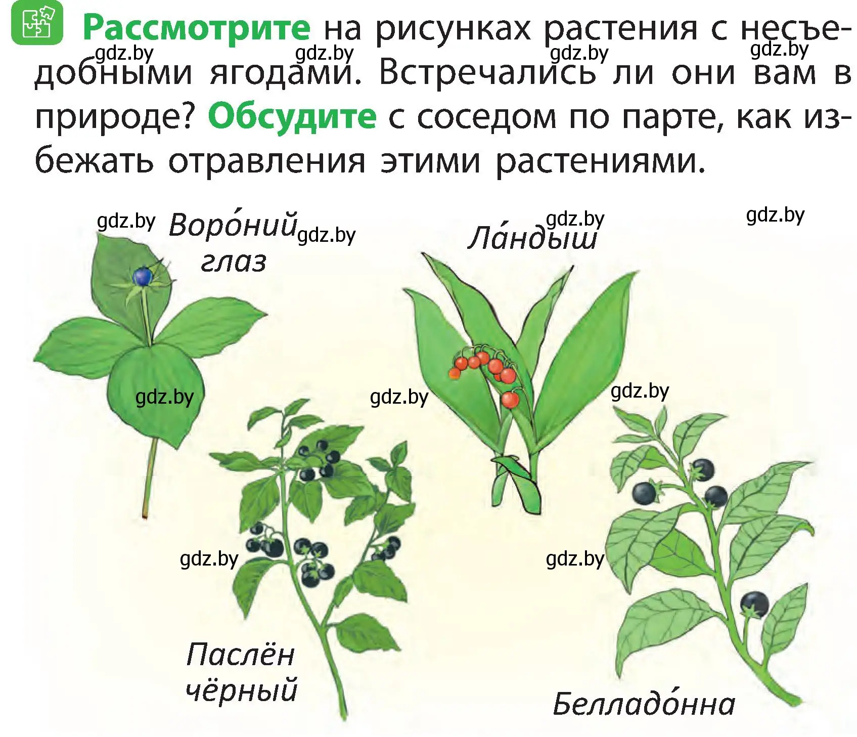 Условие номер 3 (страница 58) гдз по человек и миру 2 класс Трафимова, Трафимов, учебник