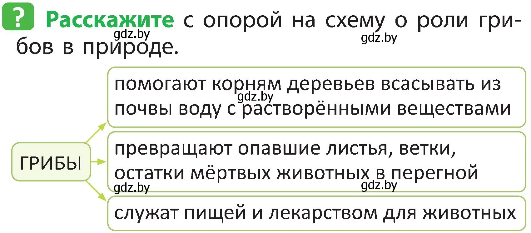 Условие номер 2 (страница 74) гдз по человек и миру 2 класс Трафимова, Трафимов, учебник