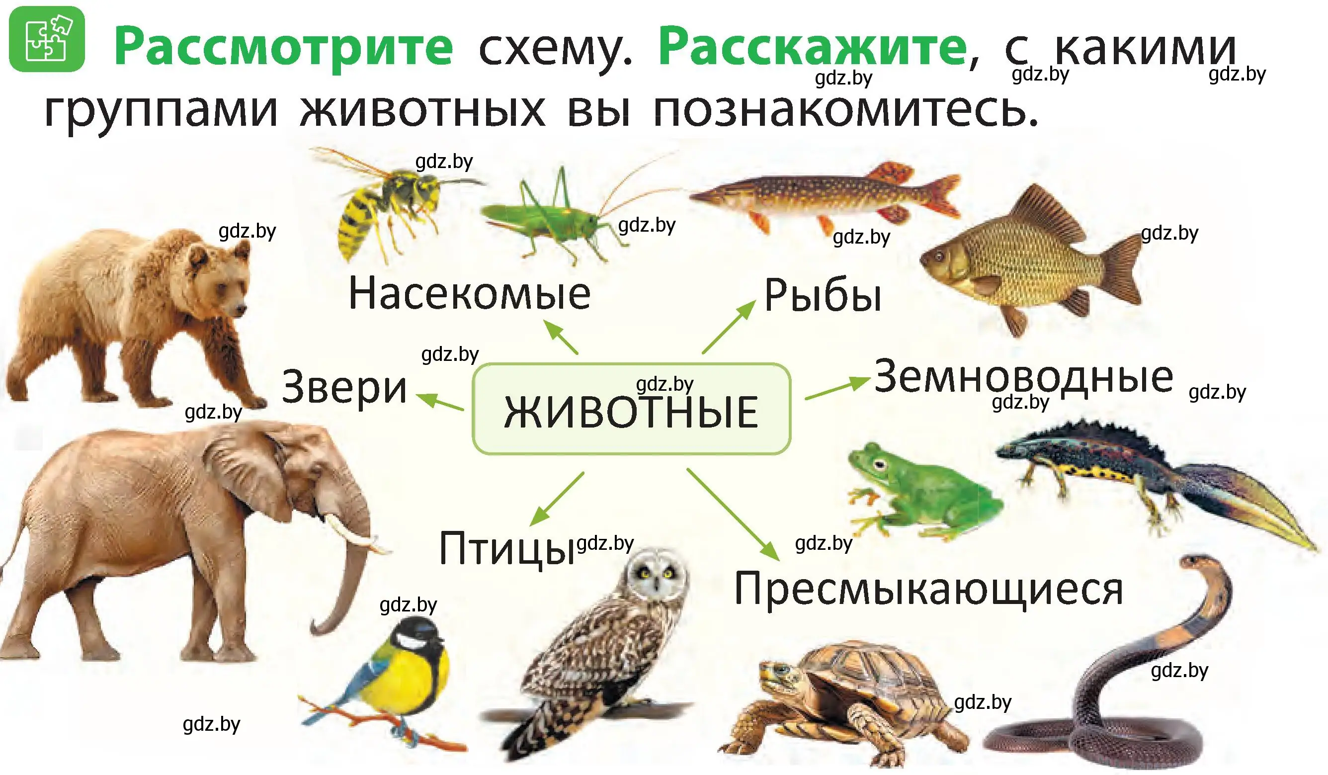 Условие номер 2 (страница 77) гдз по человек и миру 2 класс Трафимова, Трафимов, учебник