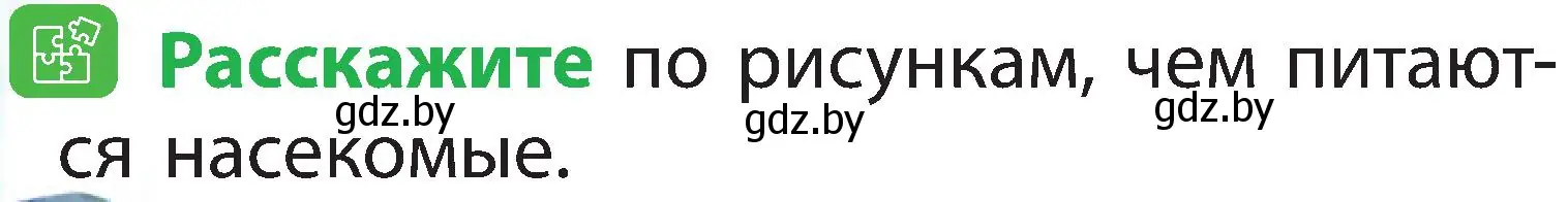 Условие номер 5 (страница 80) гдз по человек и миру 2 класс Трафимова, Трафимов, учебник