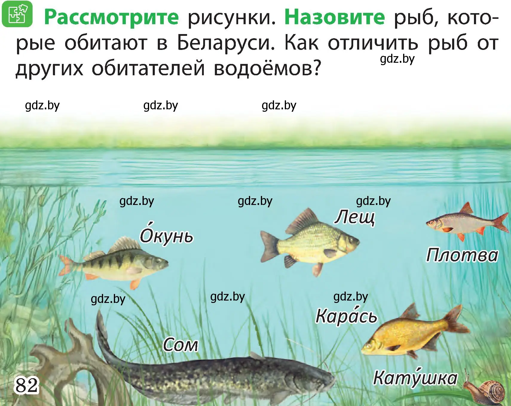 Условие номер 2 (страница 82) гдз по человек и миру 2 класс Трафимова, Трафимов, учебник