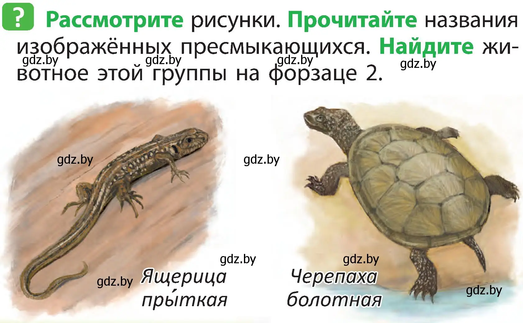 Условие номер 2 (страница 90) гдз по человек и миру 2 класс Трафимова, Трафимов, учебник