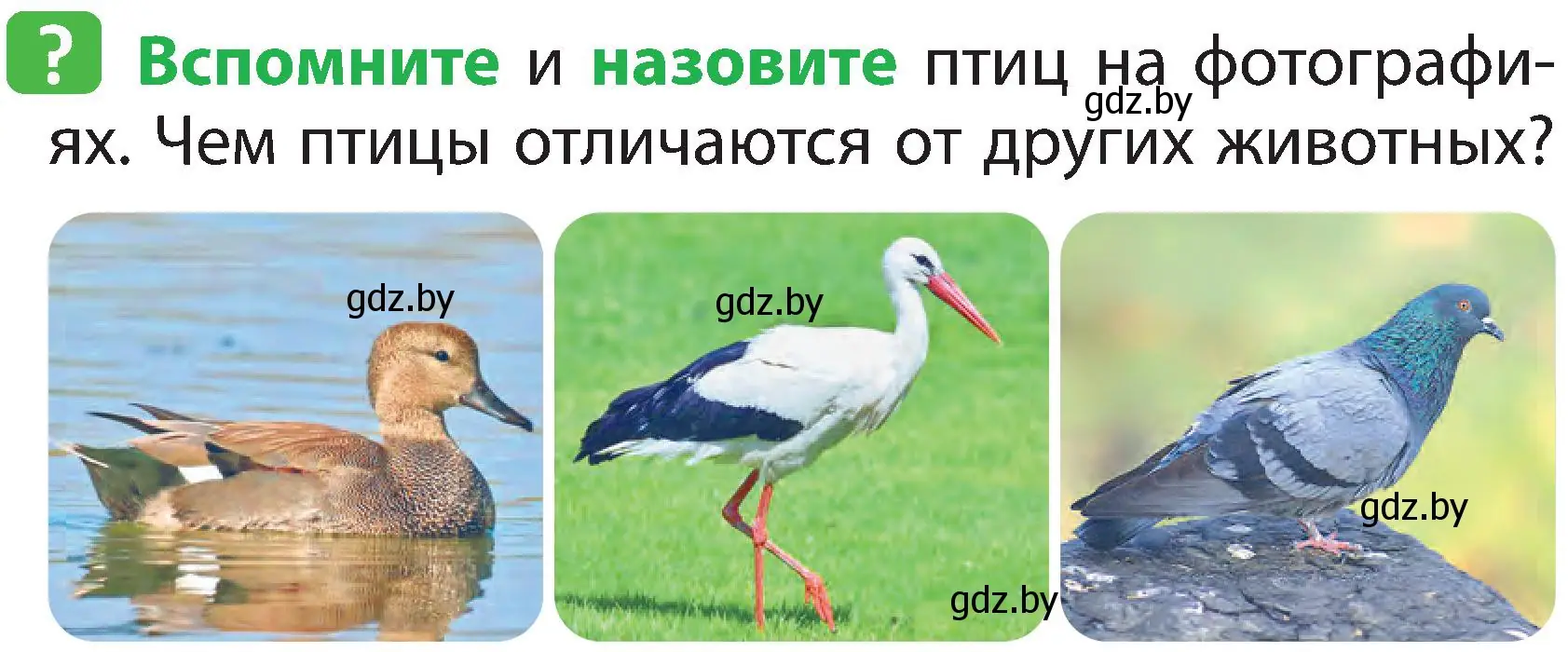 Условие номер 1 (страница 94) гдз по человек и миру 2 класс Трафимова, Трафимов, учебник