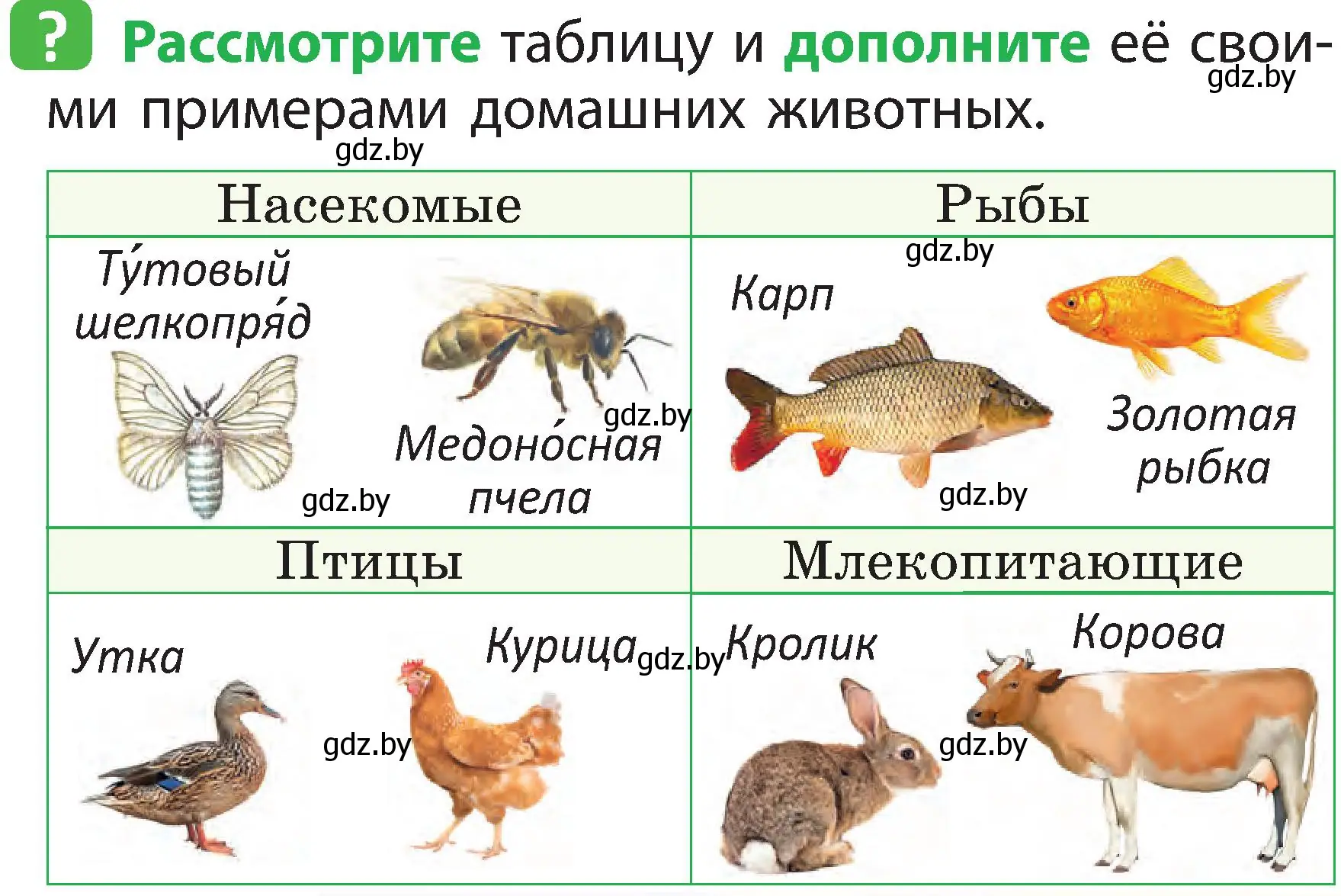 Условие номер 2 (страница 103) гдз по человек и миру 2 класс Трафимова, Трафимов, учебник