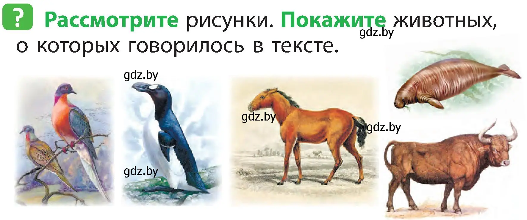 Условие номер 2 (страница 107) гдз по человек и миру 2 класс Трафимова, Трафимов, учебник