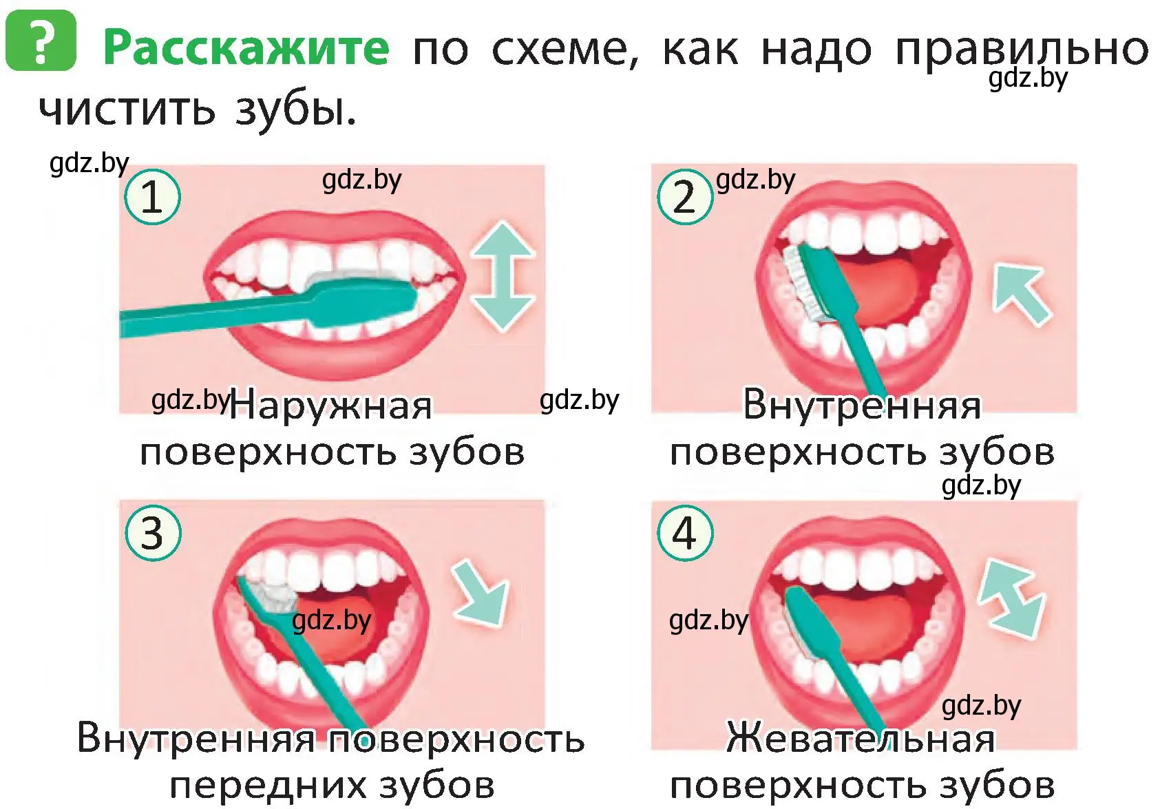 Условие номер 2 (страница 119) гдз по человек и миру 2 класс Трафимова, Трафимов, учебник