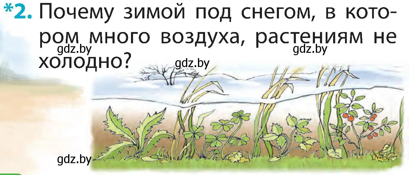 Условие номер 2 (страница 14) гдз по человек и миру 2 класс Трафимова, Трафимов, учебник