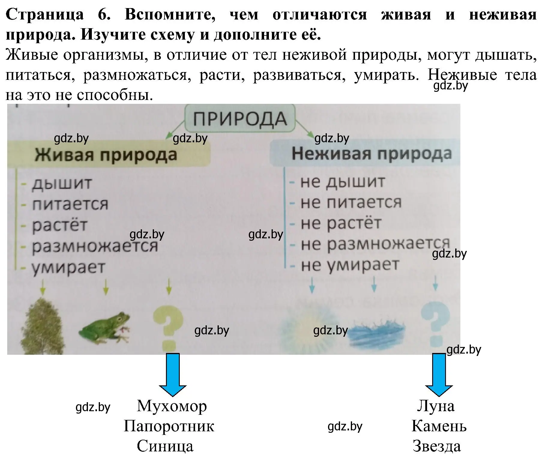 Решение номер 2 (страница 6) гдз по человек и миру 2 класс Трафимова, Трафимов, учебник